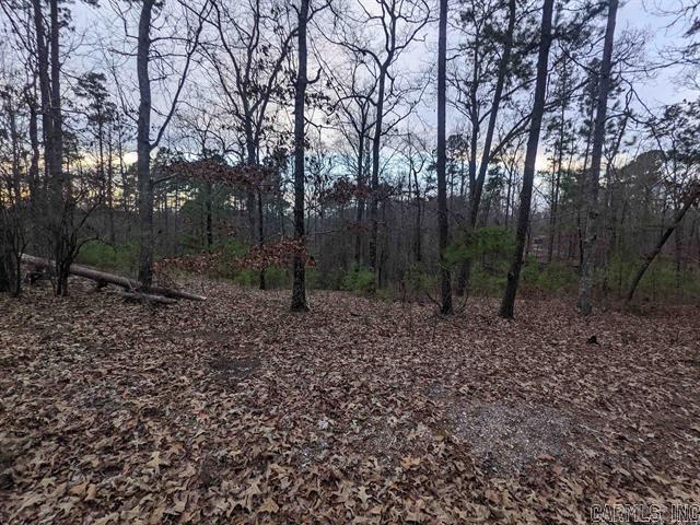 Fountain Lake - Residential