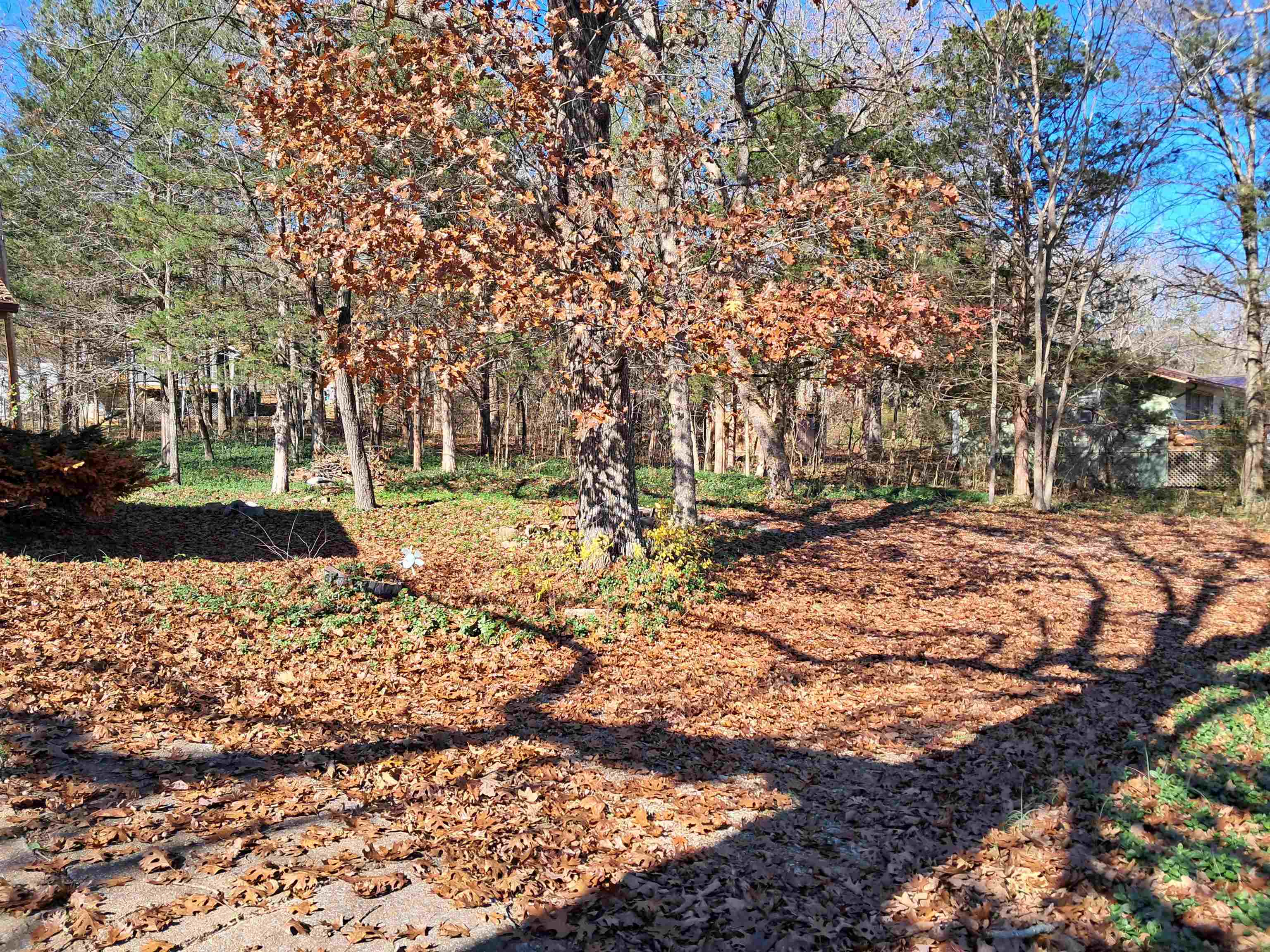 Crow 1st - Residential