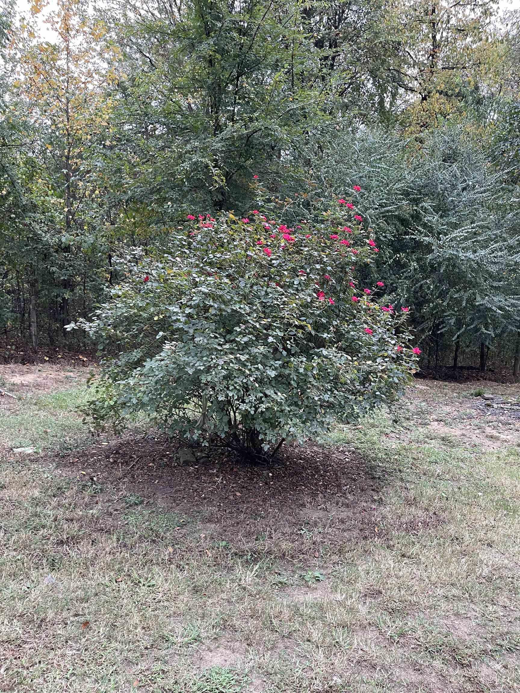 County - Residential