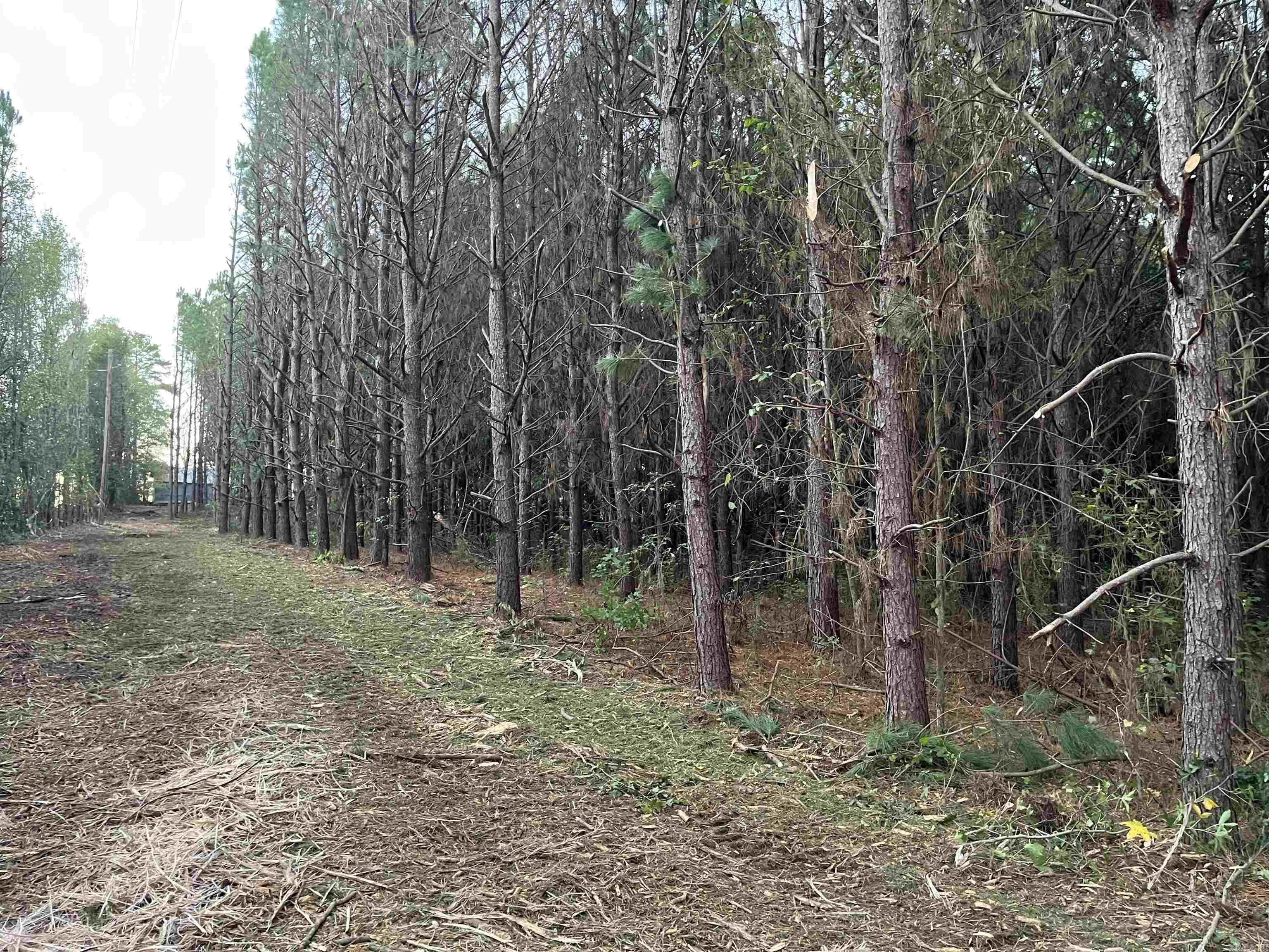 Metes & Bounds - Land