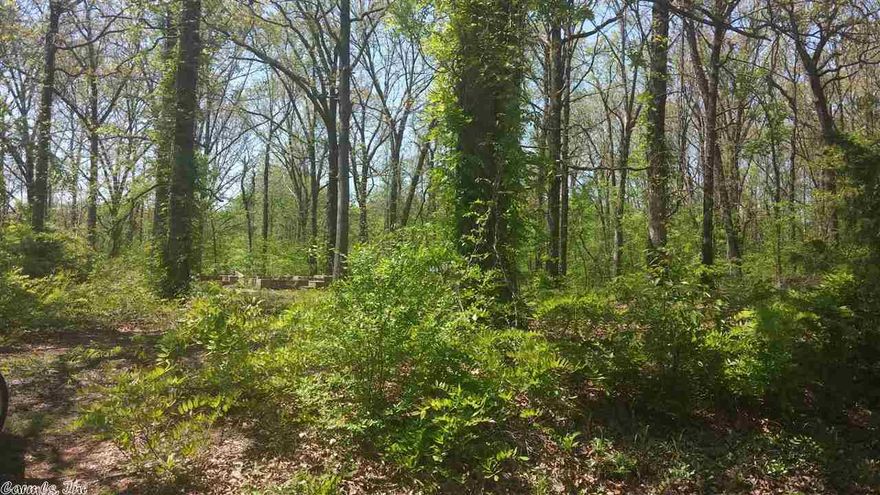 Beautiful lot with slab. Great location with easy access to I-430.