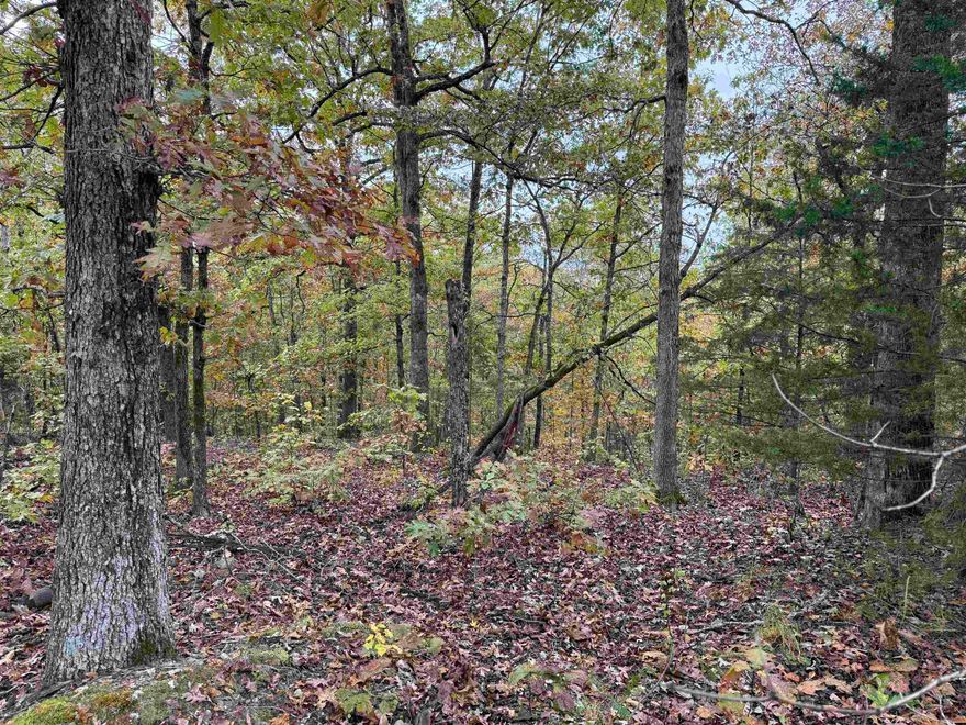 Tucked away in the hills and surrounded by open country, this 2.75 acre getaway is ready for whatever adventure you have in mind. These two adjoining lots offer a beautiful hillside setting with no restrictions. Whether your vision is a peaceful hunting retreat, a place to park your camper, or an off-grid getaway, this property is ready for you. Enjoy the quiet beauty of nature, starry skies, and breathe fresh air in privacy that only country living can provide.
