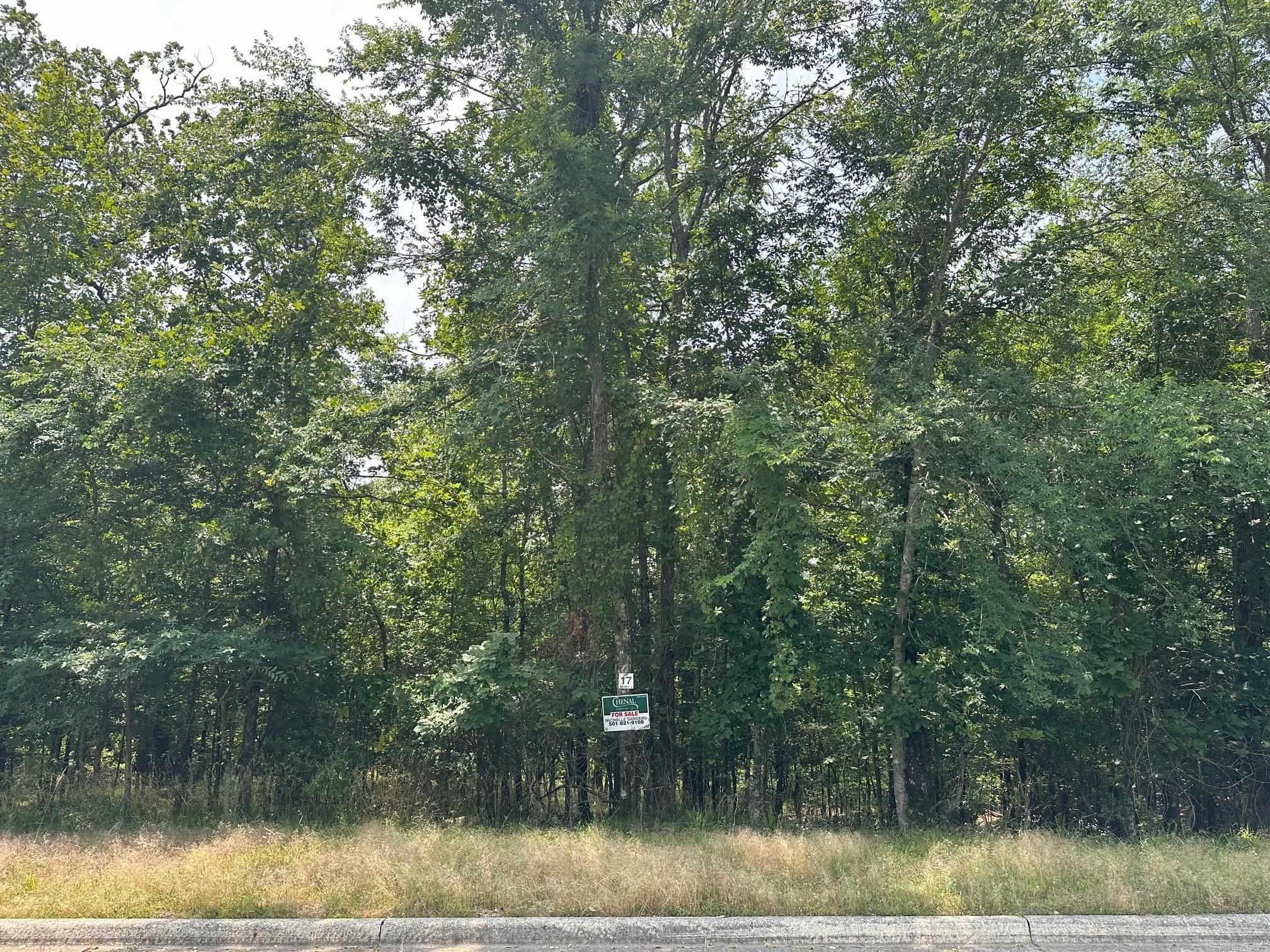 GREAT BUILDING SITE IN THE PREMIER GATED COMMUNITY OF HOT SPRINGS - RED OAK RIDGE . SITUATED ON 800 ACRES . ENJOY SERENITY AND PEACEFULNESS WITH LAKE AND MOUNTAIN VIEWS WITH SOME OF THE LOTS. PAVED WALKING PATHS ALONG THE LAKE FRONTS OF THE TWO PRIVATE RED OAK RIDGE SPRING FED LAKES - STOCKED WITH BASS FOR FISHING - ALONG WITH SMALL BOATING ACTIVITIES. ENJOY MOTHER NATURE AT ITS BEST! GREAT LOCATION CLOSE TO ACTIVITIES!!