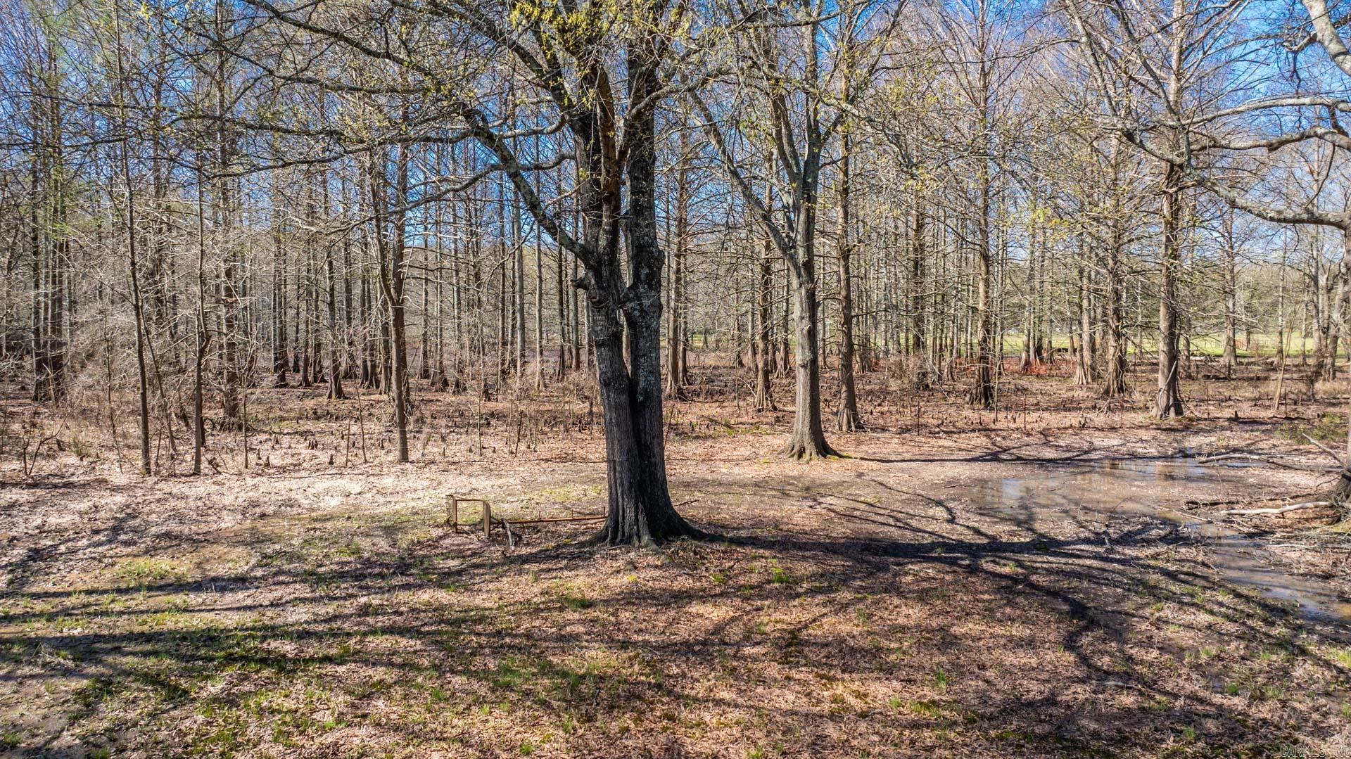 ROCKY TOP - Residential