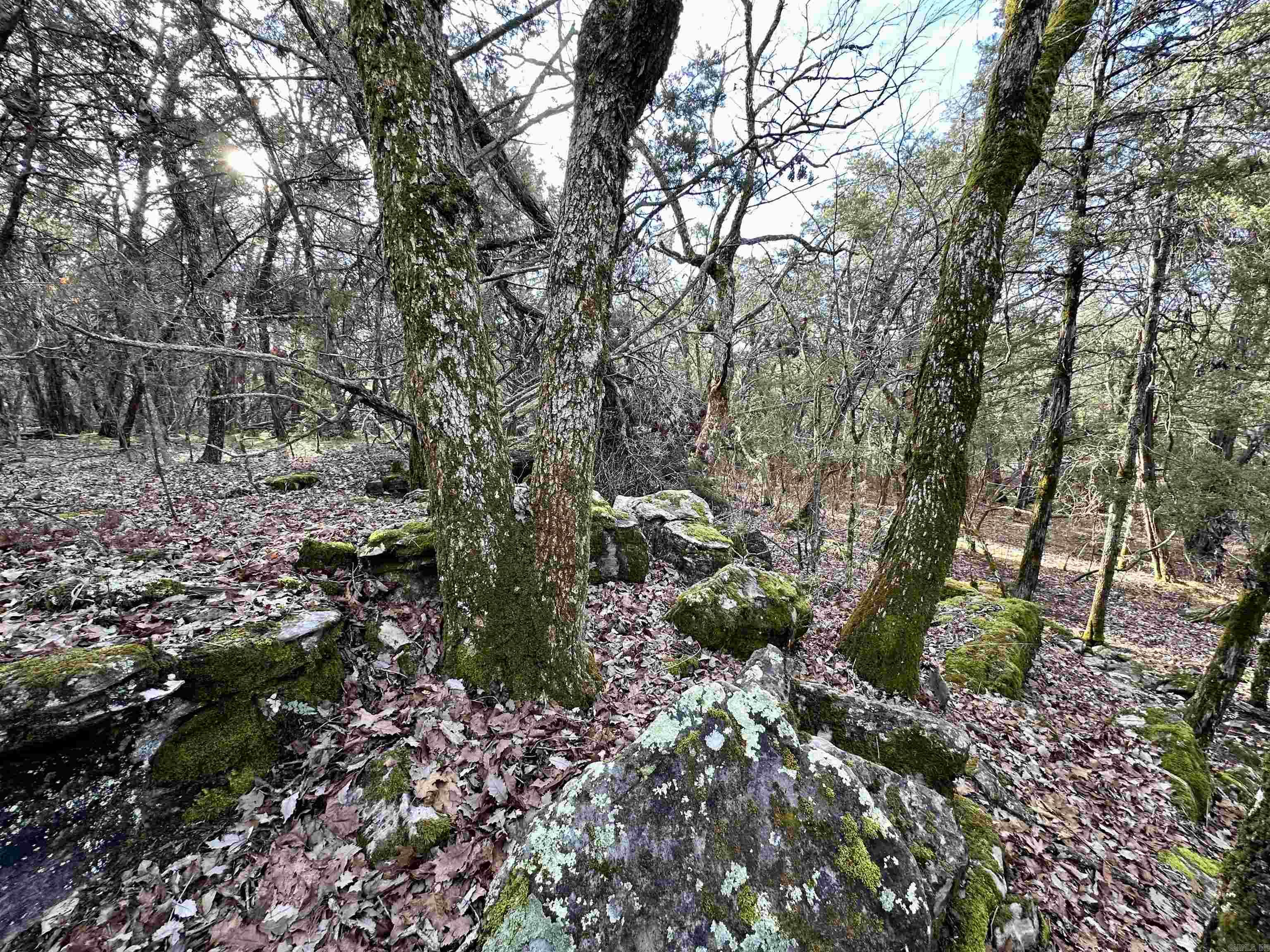 RIPPLIN SHOALS RIDGETOP - Residential