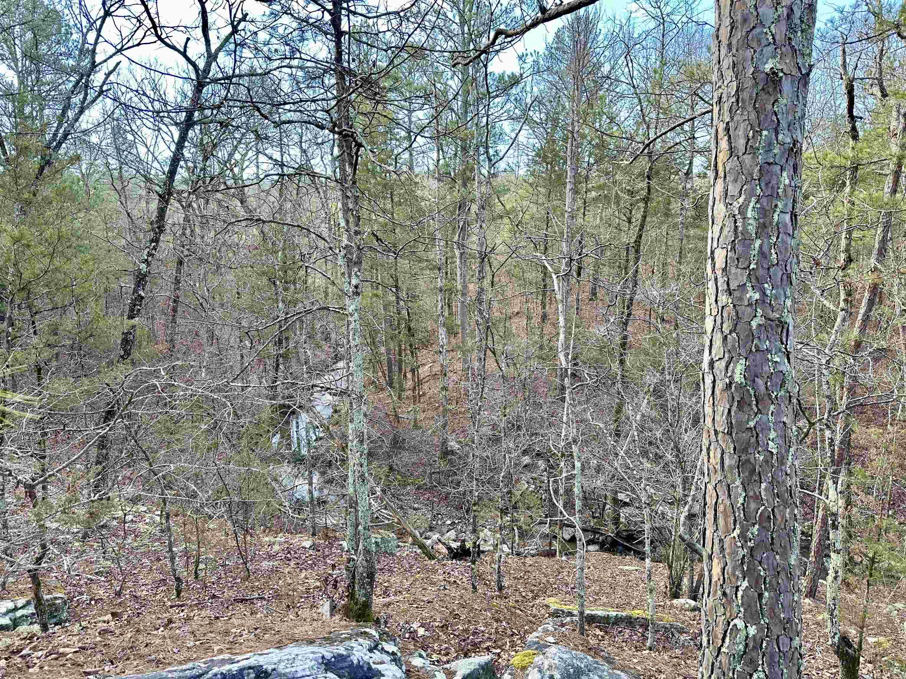 RIPPLIN SHOALS RIDGETOP - Residential