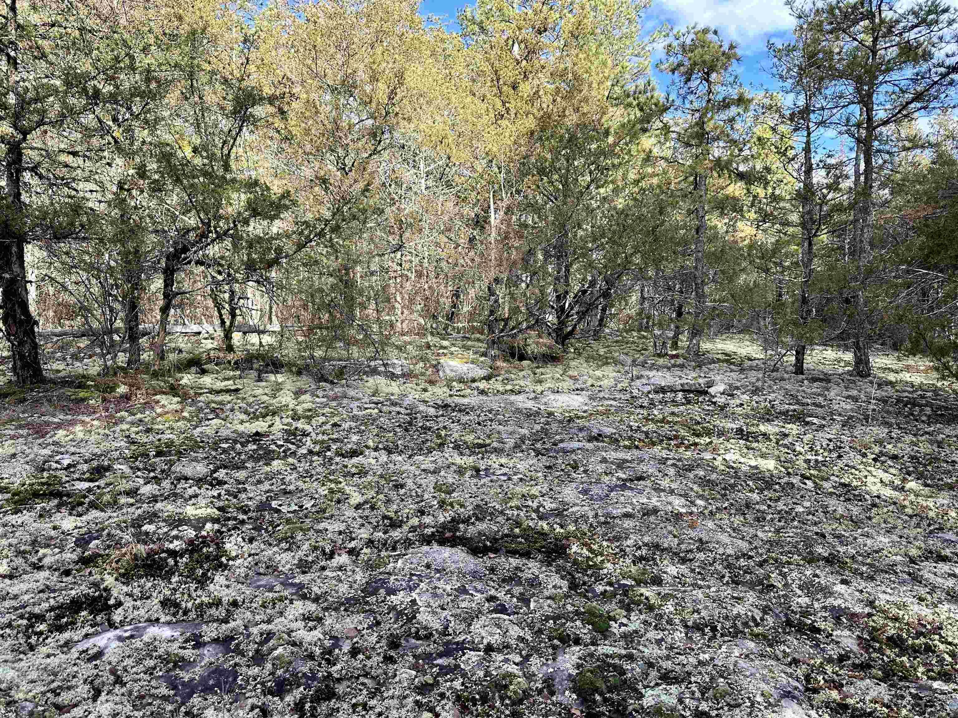 RIPPLIN SHOALS RIDGETOP - Residential