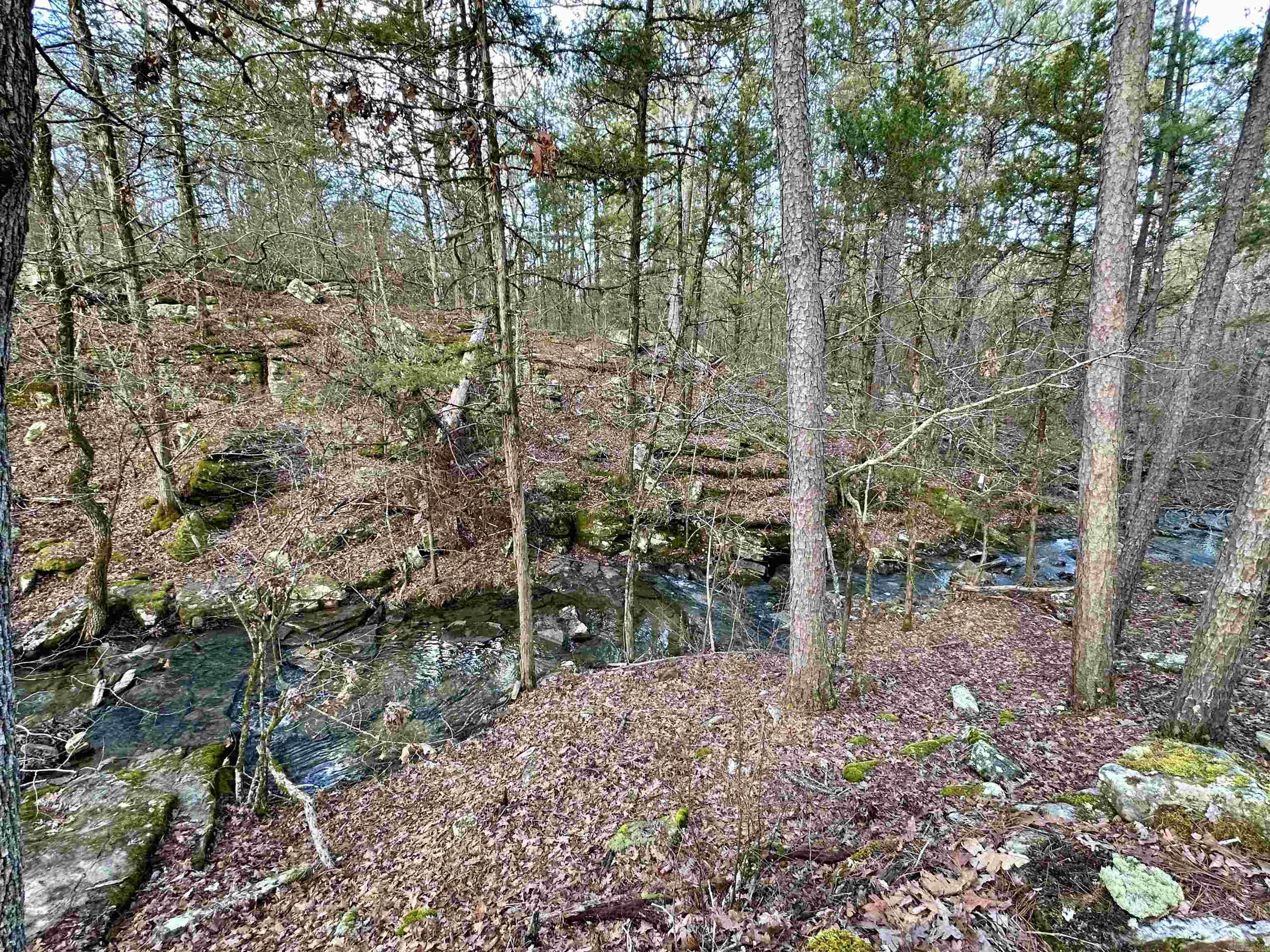 RIPPLIN SHOALS RIDGETOP - Residential