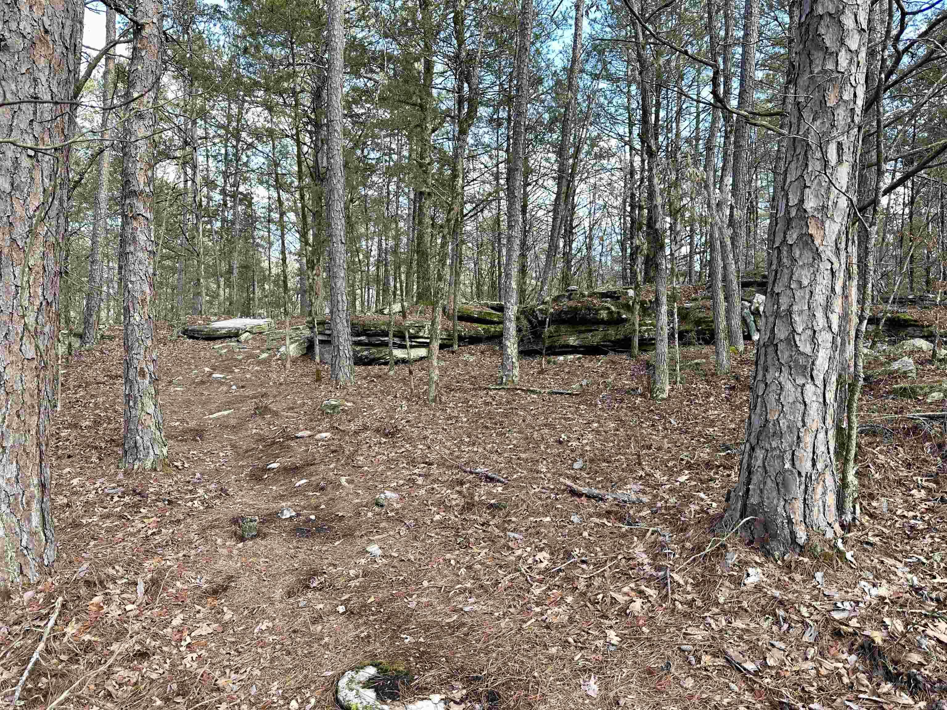 RIPPLIN SHOALS RIDGETOP - Residential