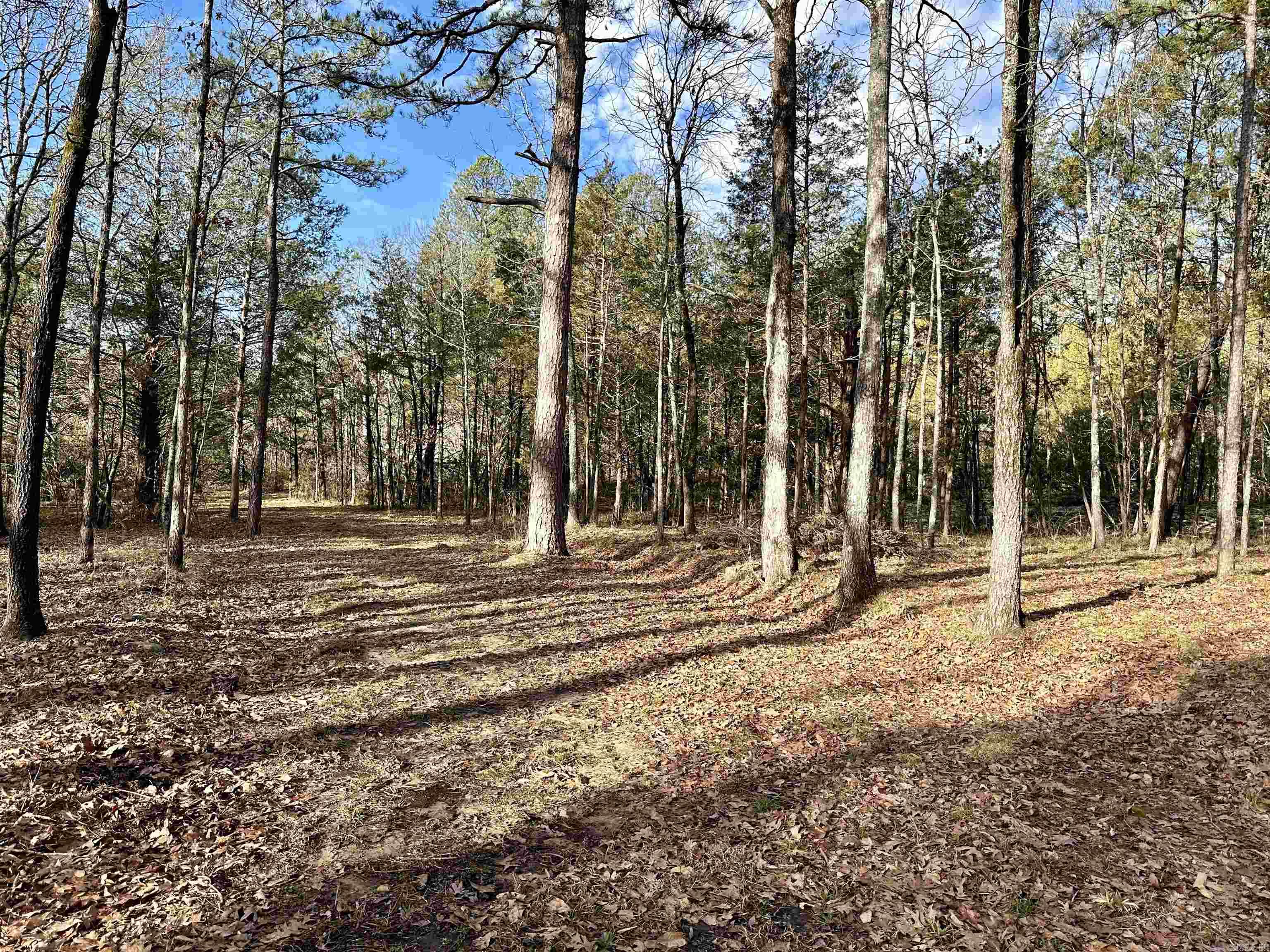 RIPPLIN SHOALS RIDGETOP - Residential