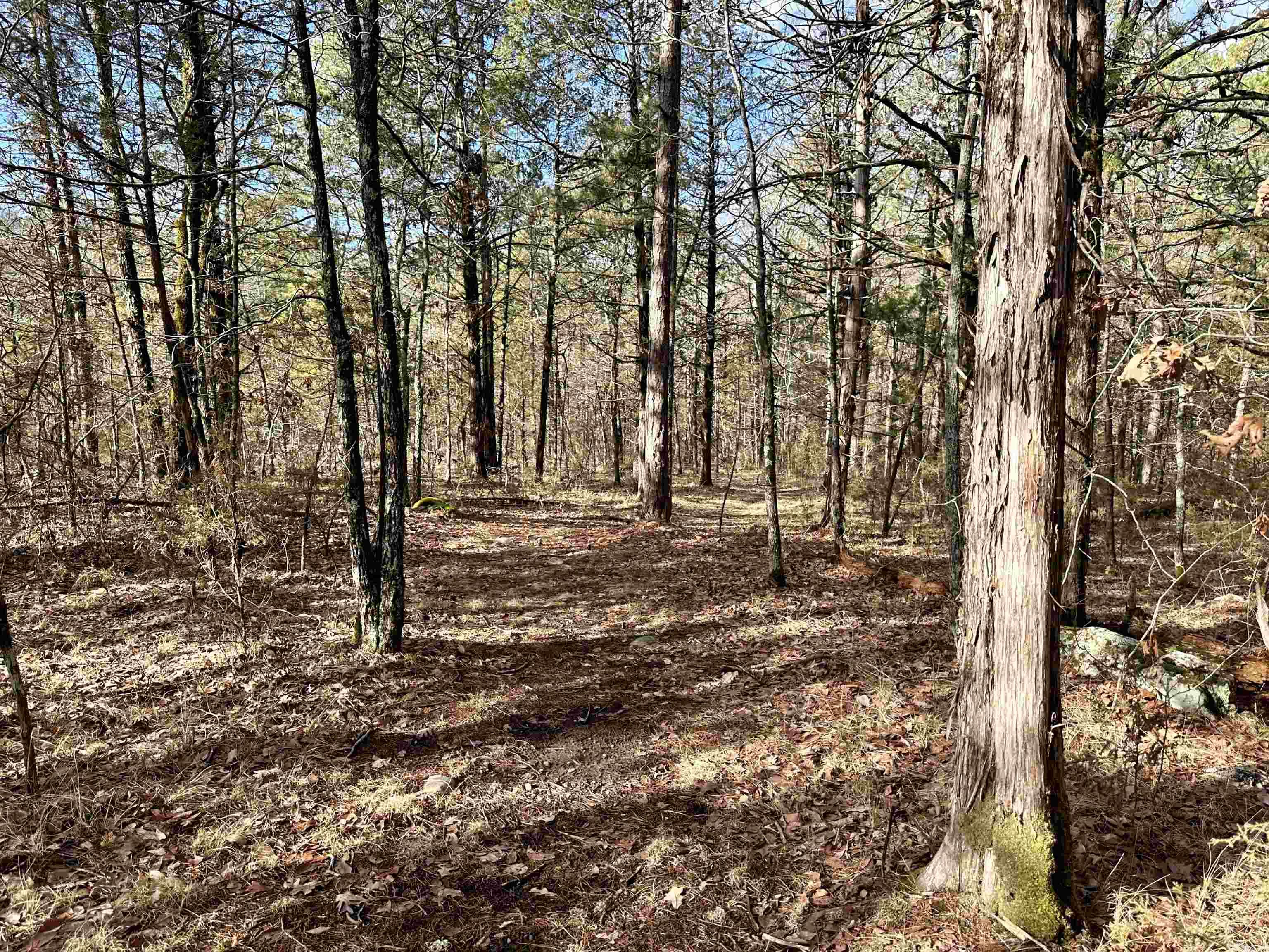 RIPPLIN SHOALS RIDGETOP - Residential