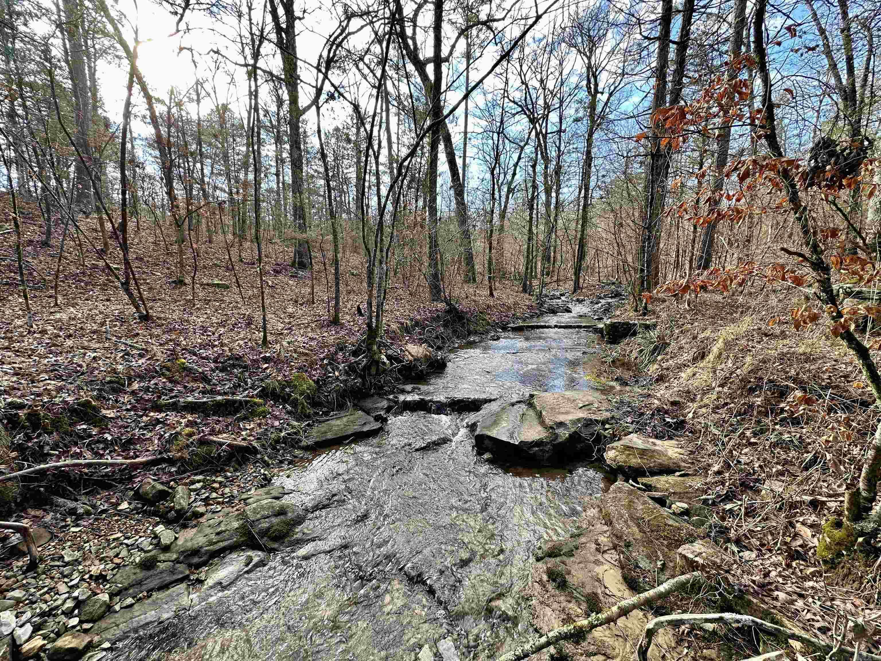 RIPPLIN SHOALS RIDGETOP - Residential