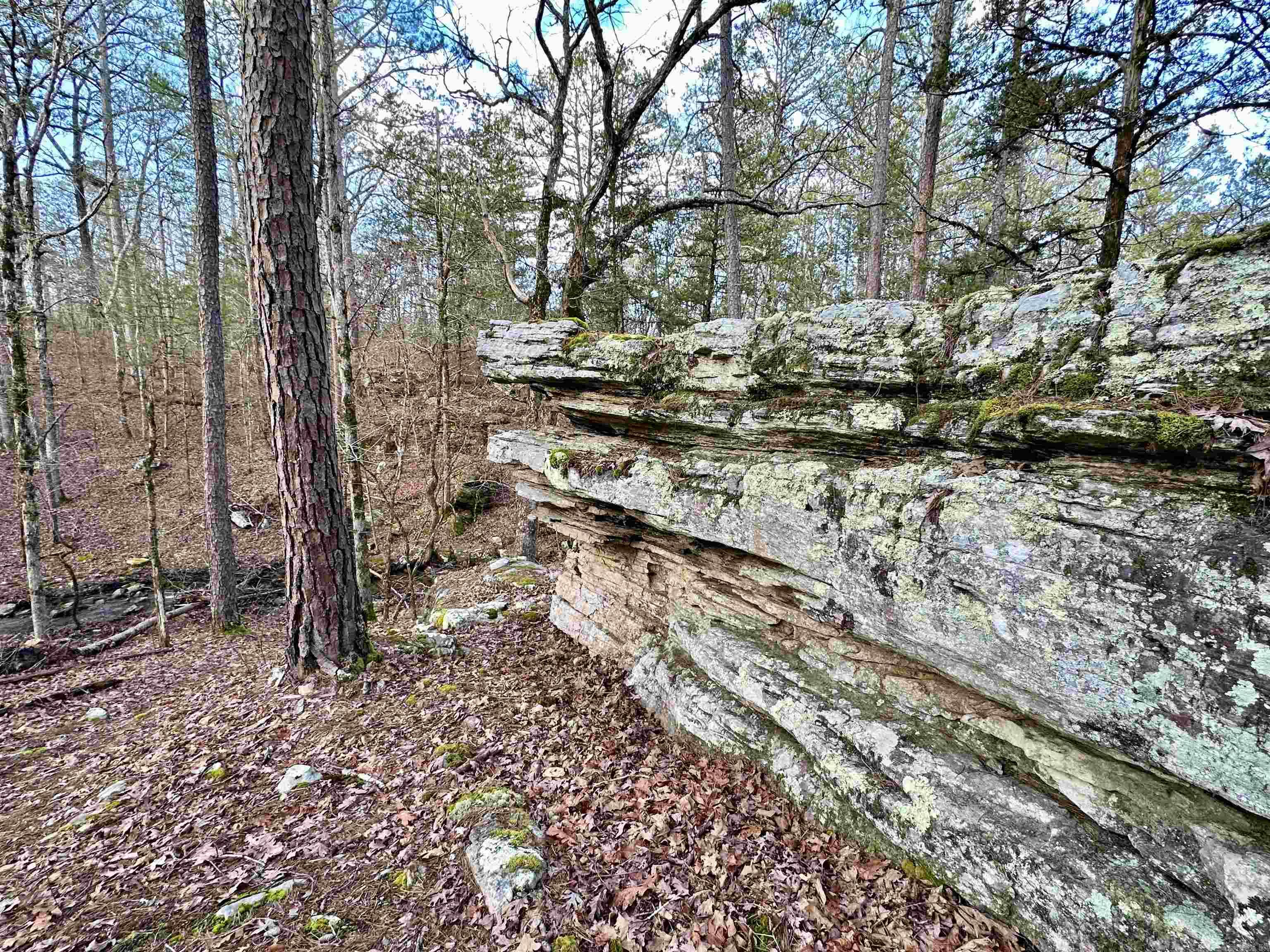 RIPPLIN SHOALS RIDGETOP - Residential