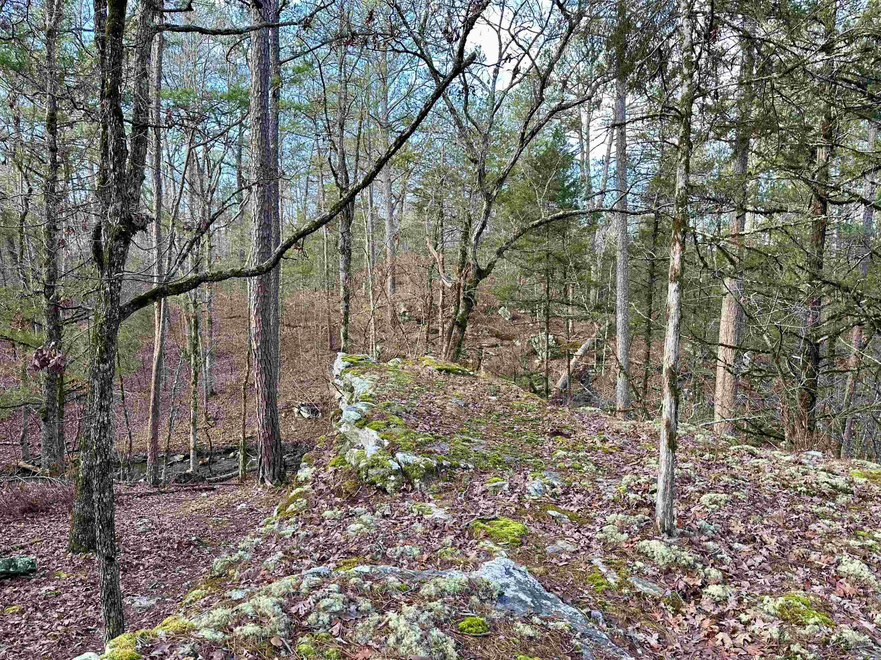 RIPPLIN SHOALS RIDGETOP - Residential