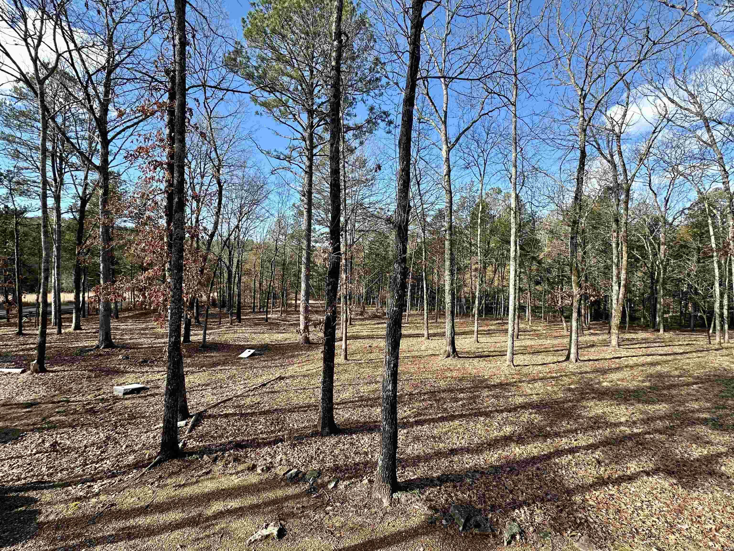 RIPPLIN SHOALS RIDGETOP - Residential