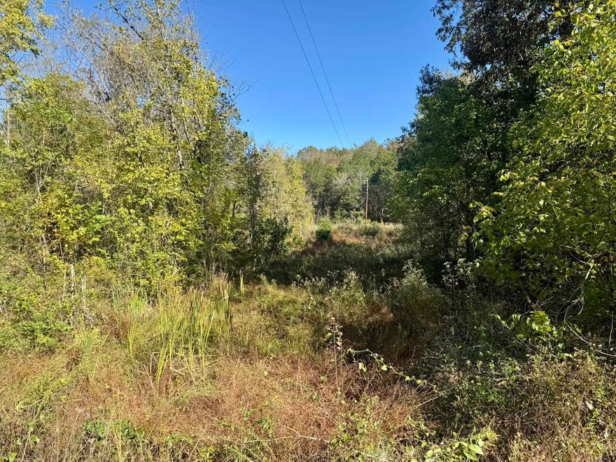Located within the city limits of the historic town of Franklin, Arkansas, this 4.5-acre surveyed property offers convenience and natural beauty.  With approximately 650 feet of blacktop frontage, easy access is already in place, making it an ideal location for your next home, retreat, or investment, while still being just minutes from local amenities. The land features multiple potential building sites, with electricity available on-site and NEXT Fiber internet services nearby. City water is also accessible, adding to the property’s practicality and readiness for development.  This property is listed at $24,900.