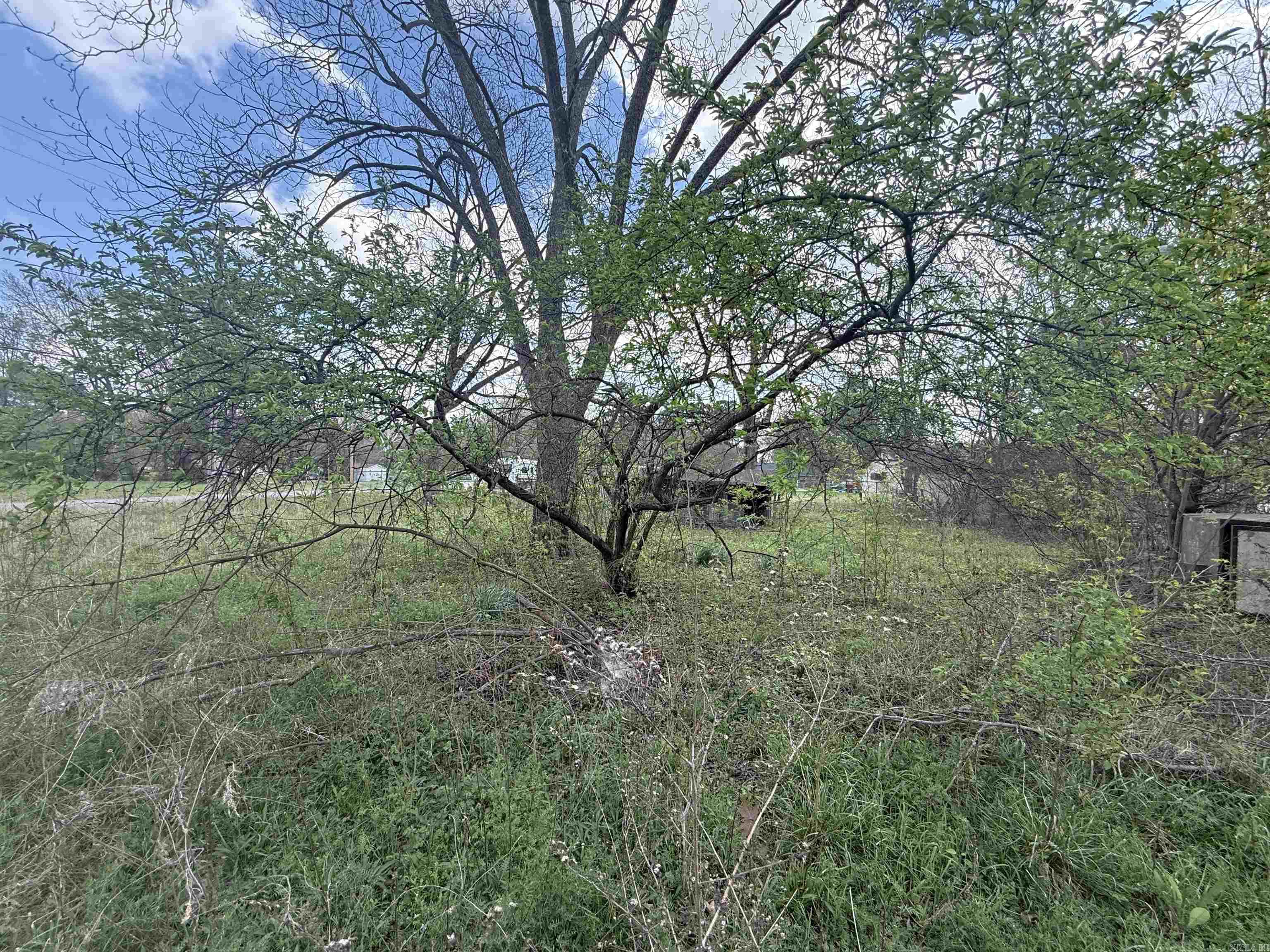 Bradford Original - Land