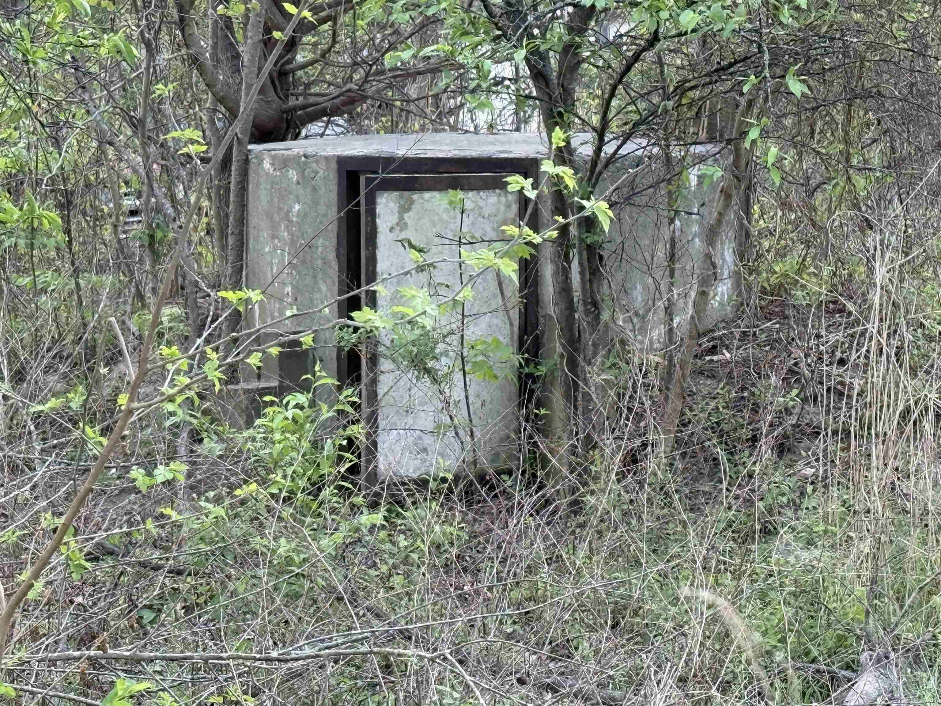 Bradford Original - Land