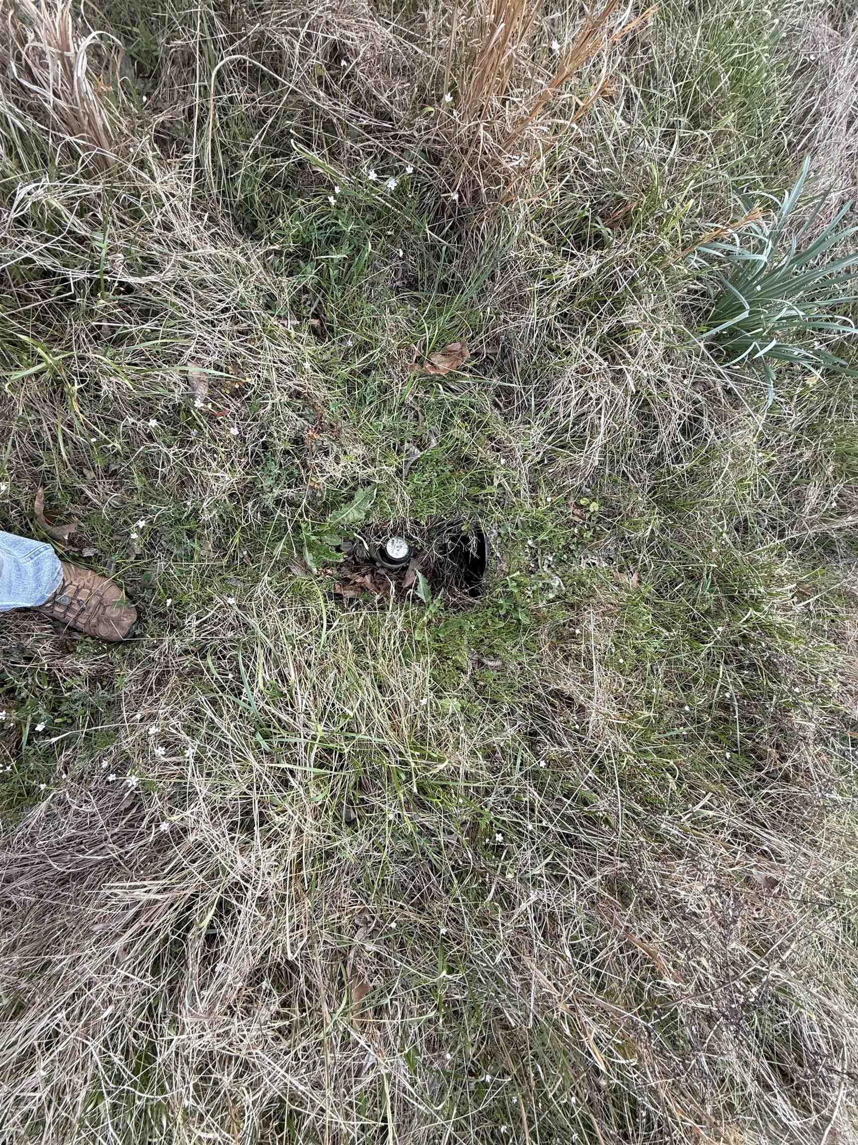 Bradford Original - Land