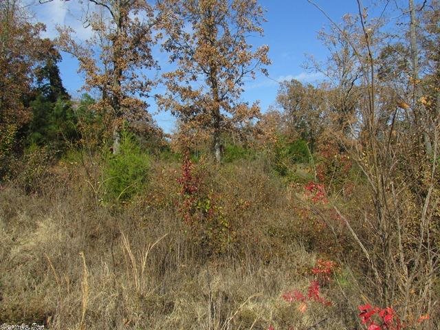 Gold Lake Estates - Land