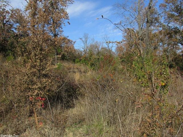 Gold Lake Estates - Land