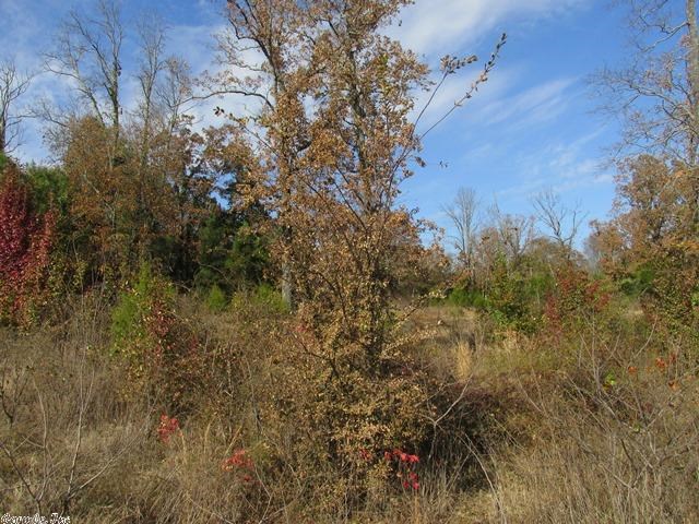 Gold Lake Estates - Land