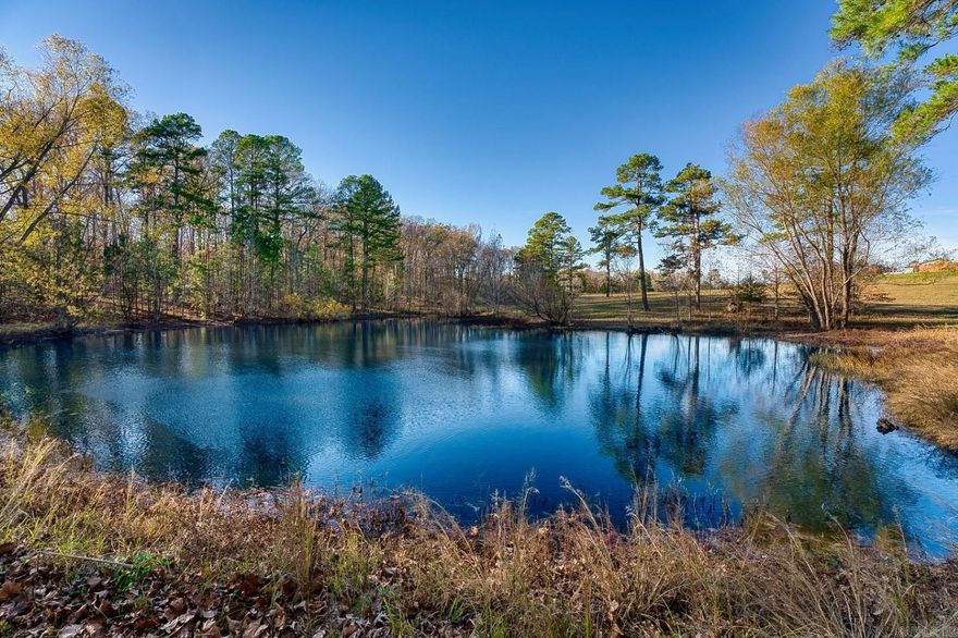 Here is your dream in the country with a stocked, spring fed pond you have been looking for! This amazing, almost 16 Acre property has plenty of room to roam, multiple great areas to build with no restrictions. Has public water, high speed fiber optic internet and power available. Many fantastic possible build sites all over the hay producing fields. Additional beautifully remodeled home with 2 acres for sale MLS# 24043866.