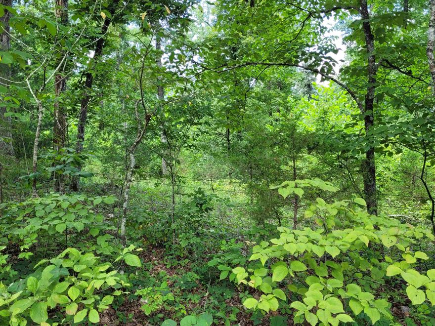 Discover your private haven with this 22.4-acre surveyed tract, ideally situated near the Spring River and the charming, historic town of Hardy, Arkansas. Located in the foothills of the Ozarks, this all-wooded parcel offers seclusion and natural beauty, making it a great hunting property or a self-sufficient homestead or prepper's retreat. The land has a natural slope to it with electricity available at the road. It has gravel county road frontage.