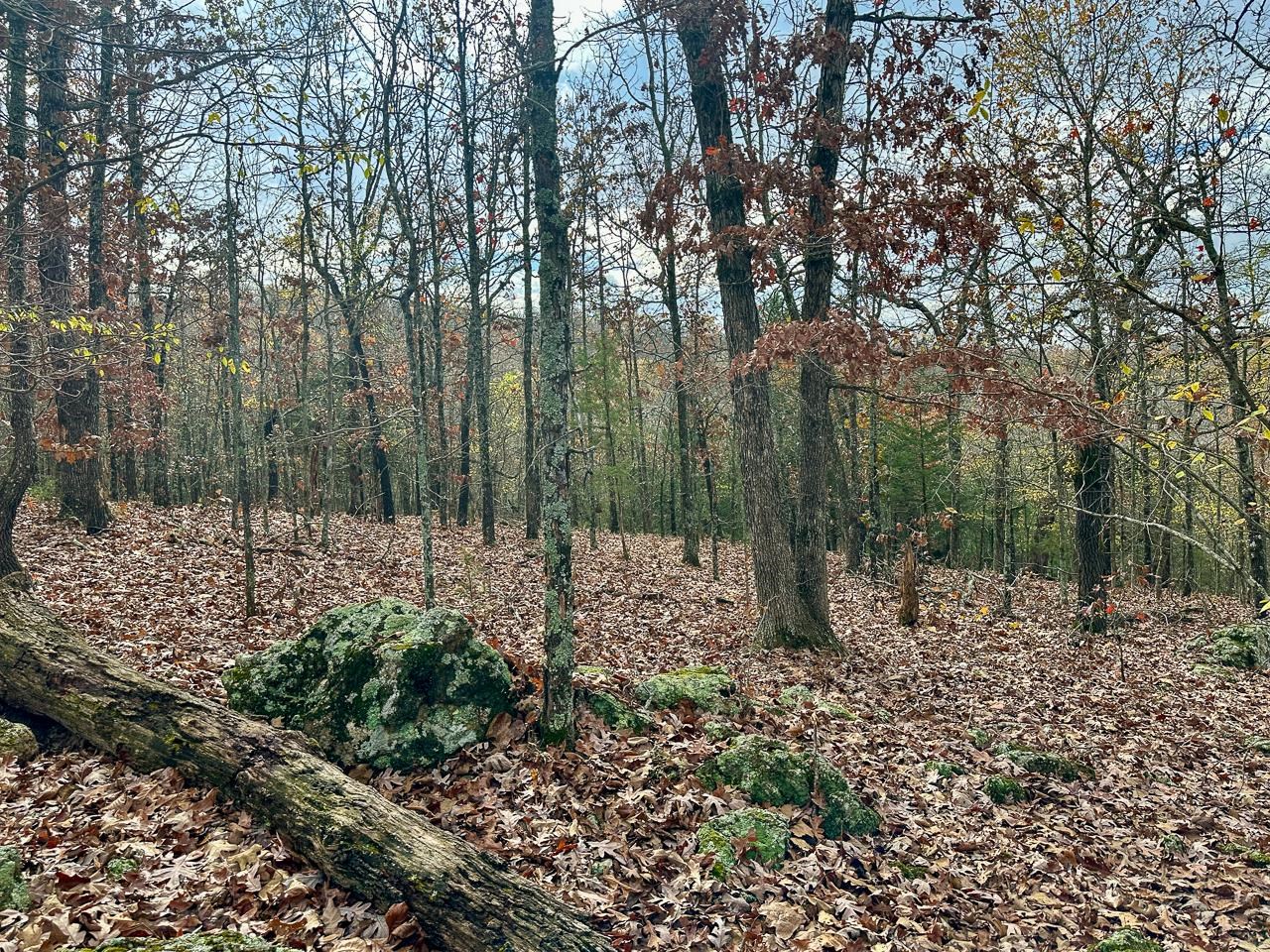 Metes & Bounds - Land