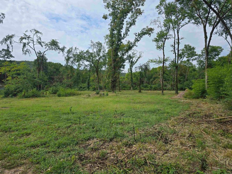 3.36 acres with utilities and a flowing creek in Lake Hamilton School District. Ready to build your dream home or to place your mobile. NO restrictions! An easement will also be given off of Amity Road for use when the creek is up.