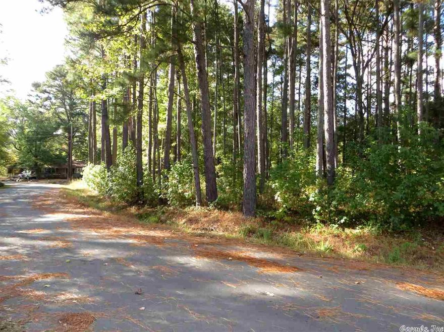 Five lots on Joy Drive in Bali-Hai Subdivision are being sold as one package. Beautiful, Wooded lots right across the street from Lake Hamilton. This is a nice quiet loop off Marion Anderson and in Lake Hamilton School Dist.