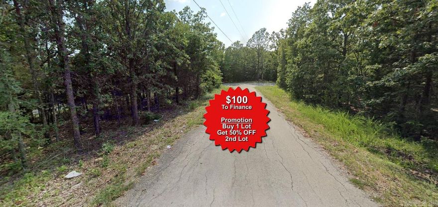 Buy one lot and get 50% off an additional lot! Owner-finance for easy terms. Cash buyers can pay by debit or credit card as well. Nice lot to develop or hold for future value. Public water and electric are available to run to property and will need septic. Owner/agent. No mobiles allowed. 300-2500 minimum build size on any other type of home, depending on subdivision. Finance is $100 down and 10 months at $99 and closing costs are included. Lots marked with red banner are part of promotion. No limit on lots. Buyer responsible for any/all taxes and lots sold "as-is". Quit claim deed conveys. Parcel ID# 325-18383-000