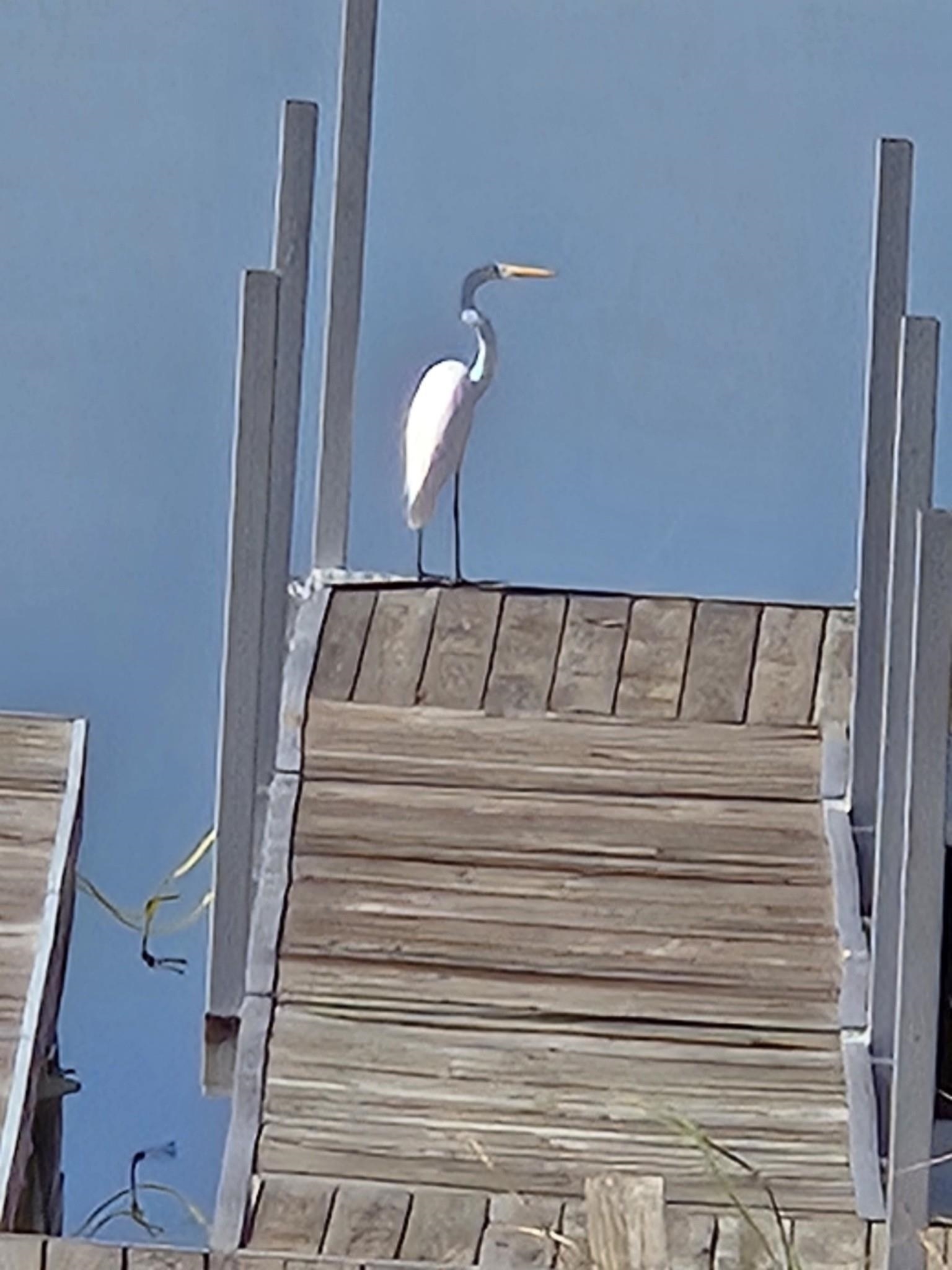 River Manor Estates - Residential