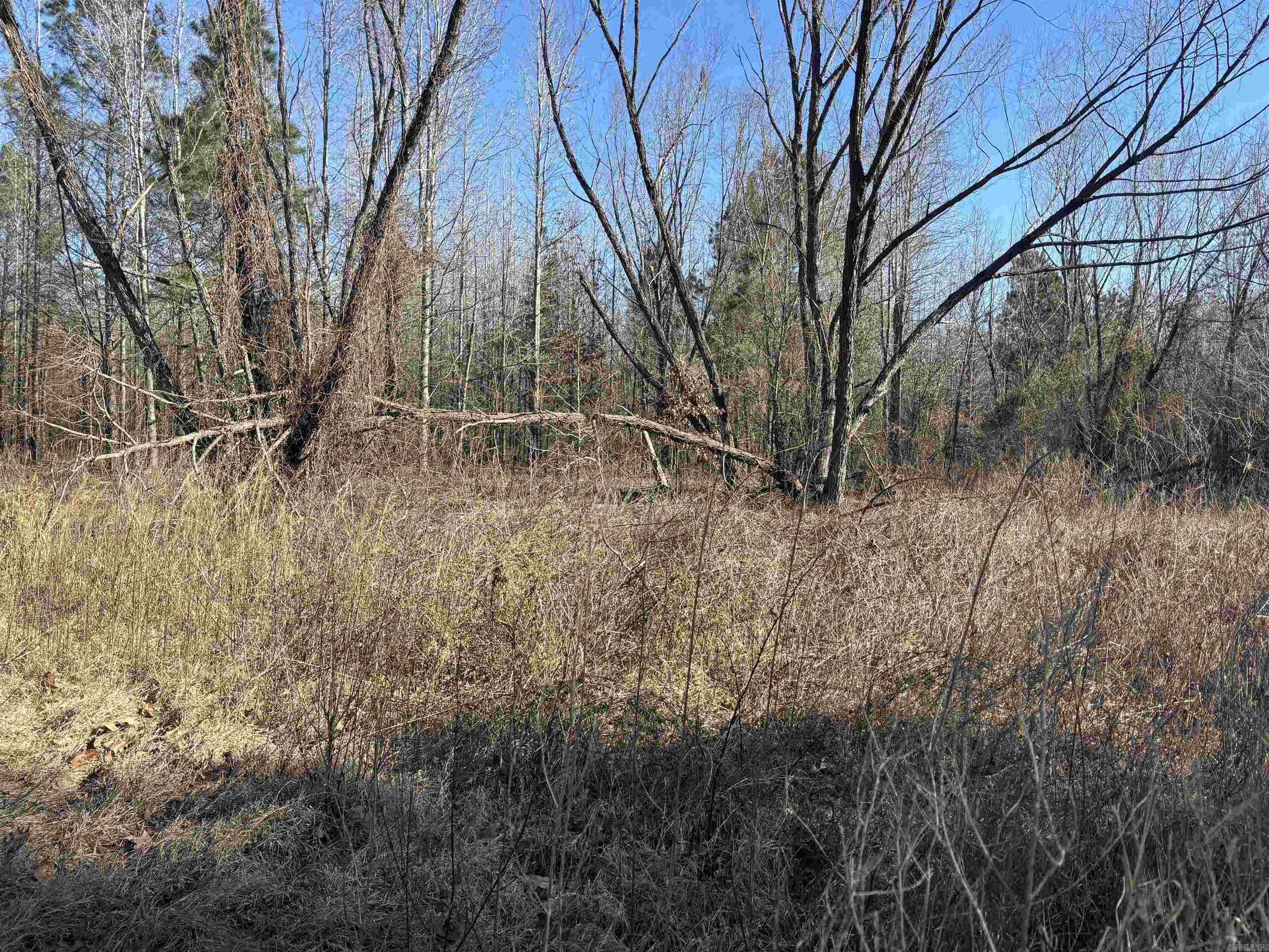 Metes & Bounds - Land