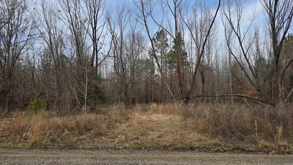 124 WILLIAMS RD, BALD KNOB, AR 72010 - Image 3cb24c54d008abb8eb46b54eec8c854d/1986437051