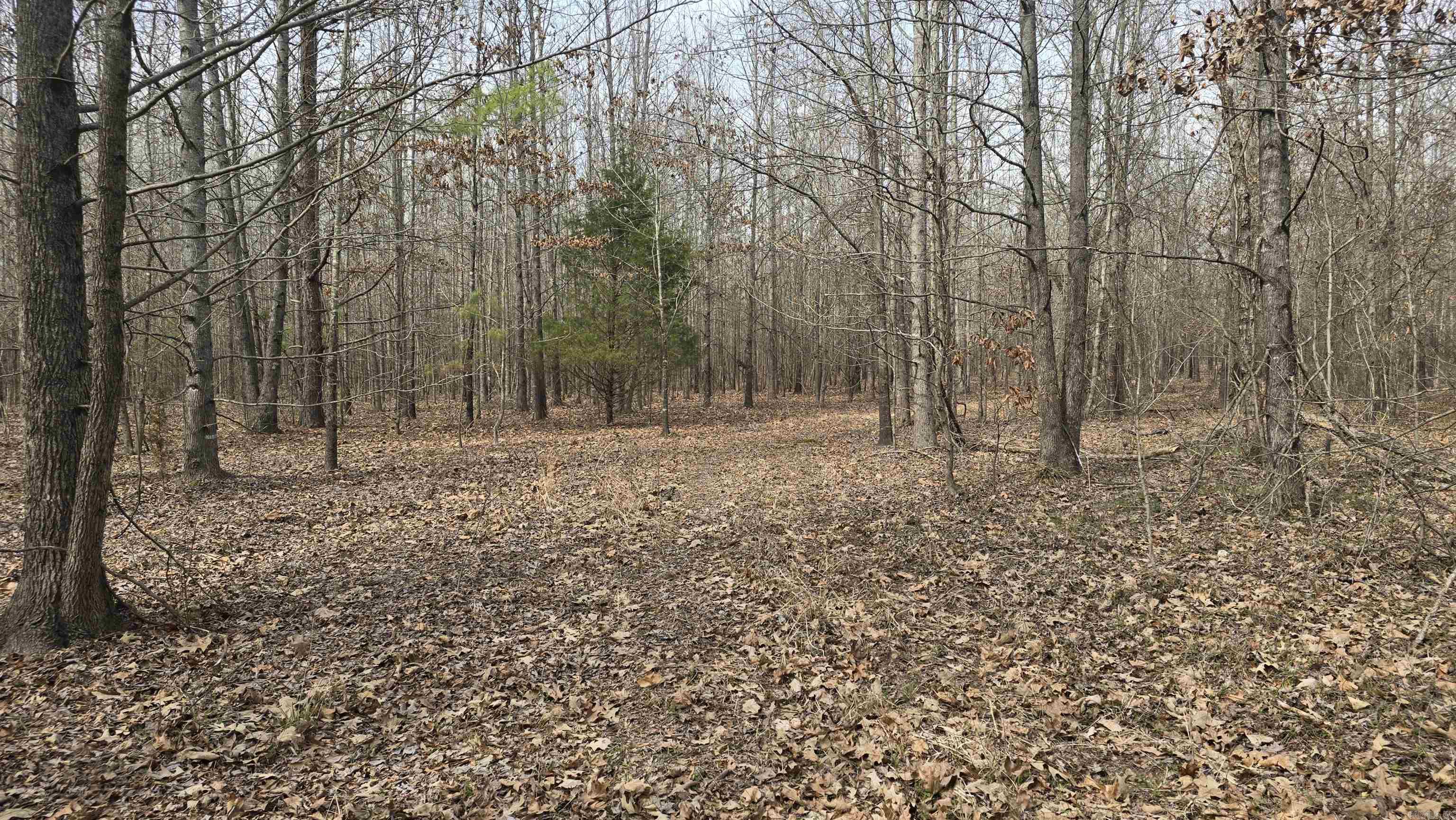 Metes & Bounds - Land