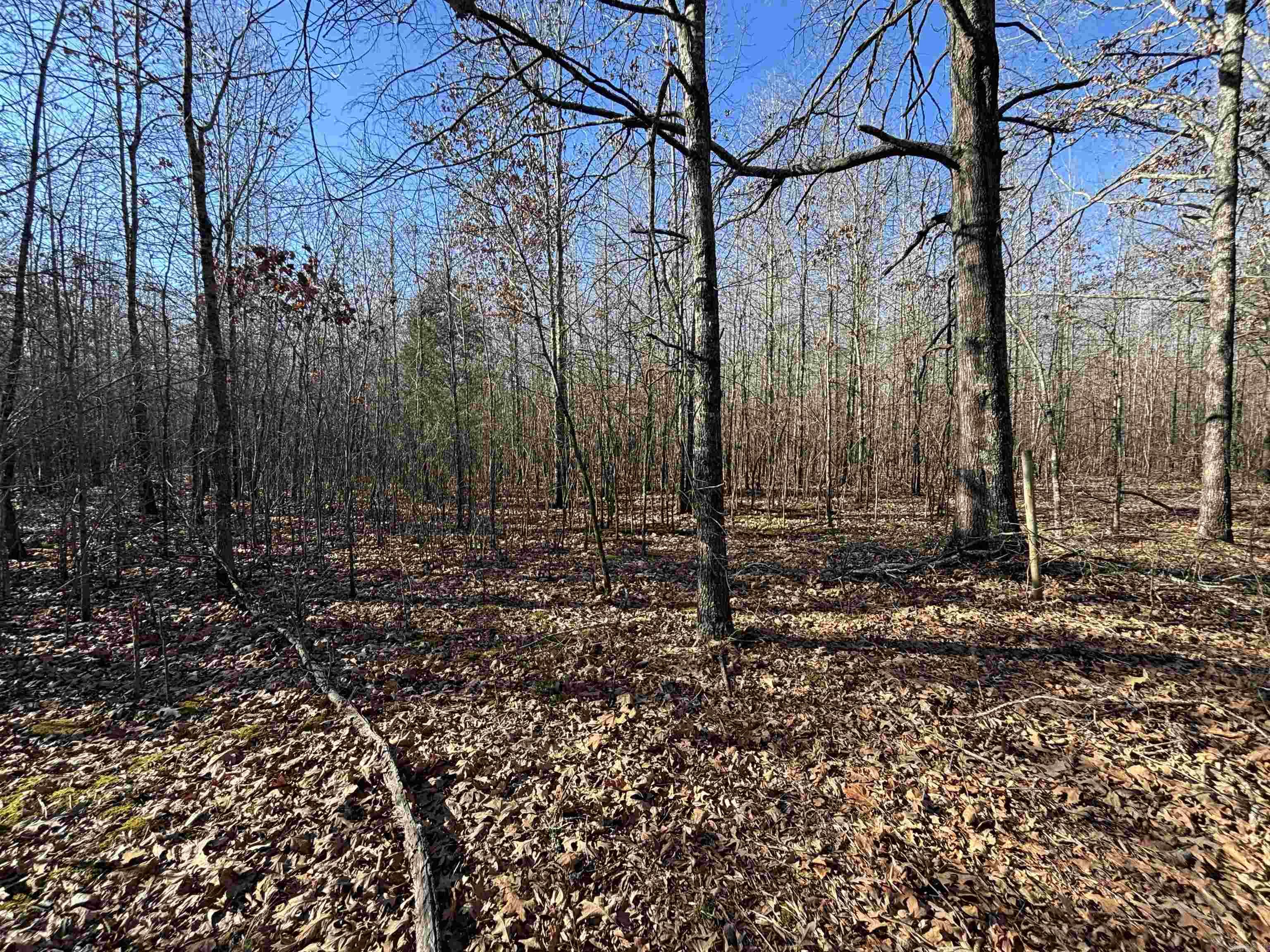 Metes & Bounds - Land