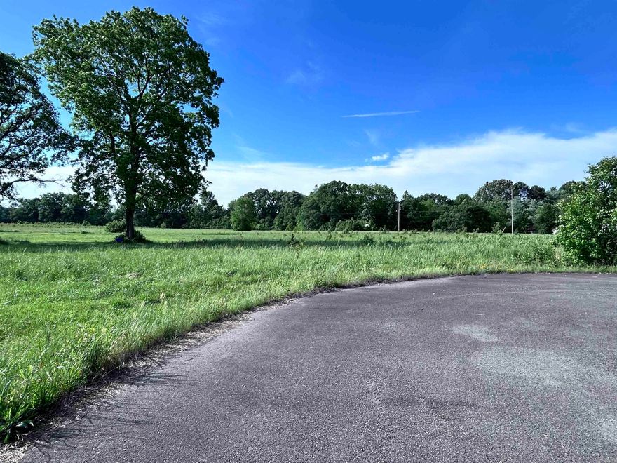 Building a new home, placing a mobile home, or buying land for the future are all great options with this level lot located in the city of Beebe. Mobile homes are allowed, and electric, water, and sewer are available at the street. The lot is level and easy to work with, making it simple to plan your next steps. Located in town, this property keeps you close to local schools, shopping, restaurants, and everyday needs. Whether you are ready to build, need a spot for a mobile home, or want an investment property, this lot has plenty of potential. Bring your plans and make it your own.