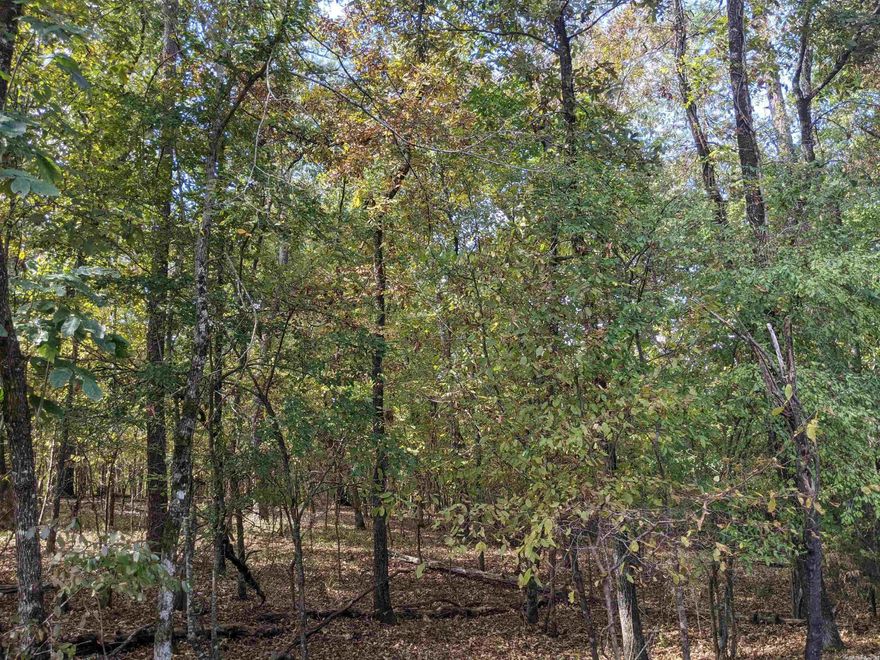 Beautiful lot across the street from the #3 ranked golf course in Arkansas Diamante. Ride your cart or walk to the clubhouse for tennis, swimming and chef created meals. Don't miss this opportunity to build your dream home in Diamante Country Club within Hot Springs Village the countries largest gated community! First picture is of the Lot, other pics are of Diamante CC.