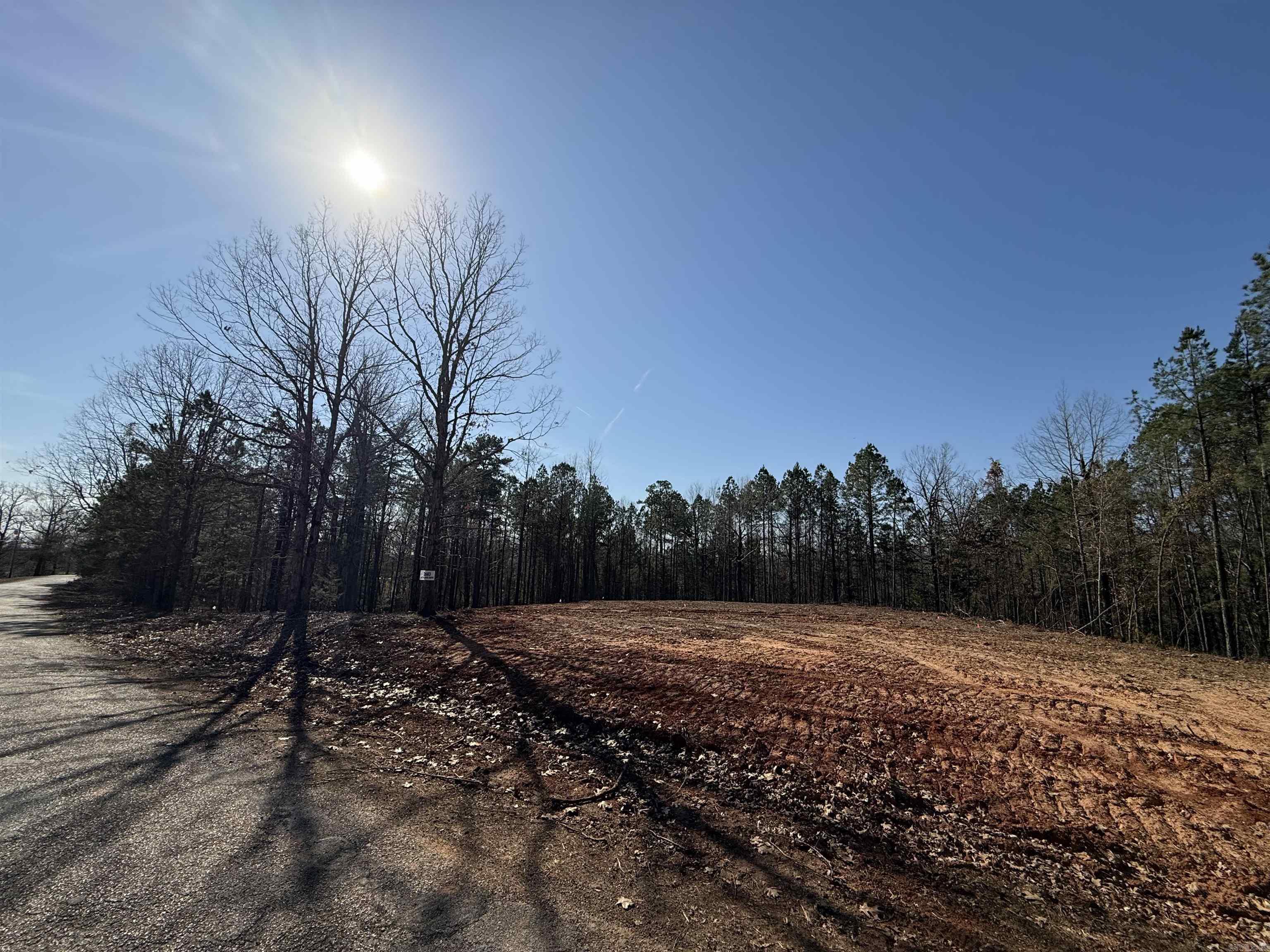 BICENTENNIAL SD PT 1 - Land