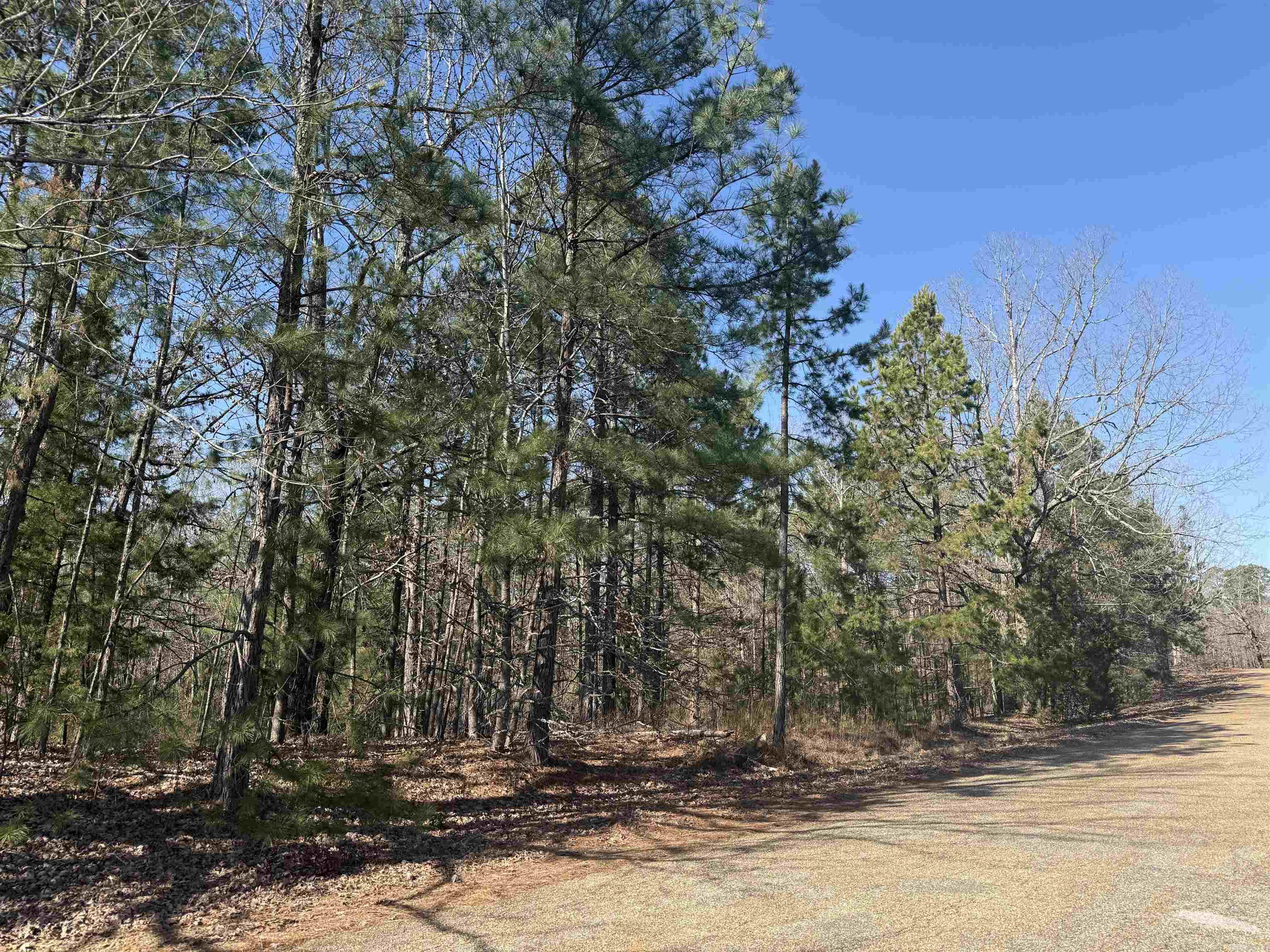 BICENTENNIAL SD PT 1 - Land