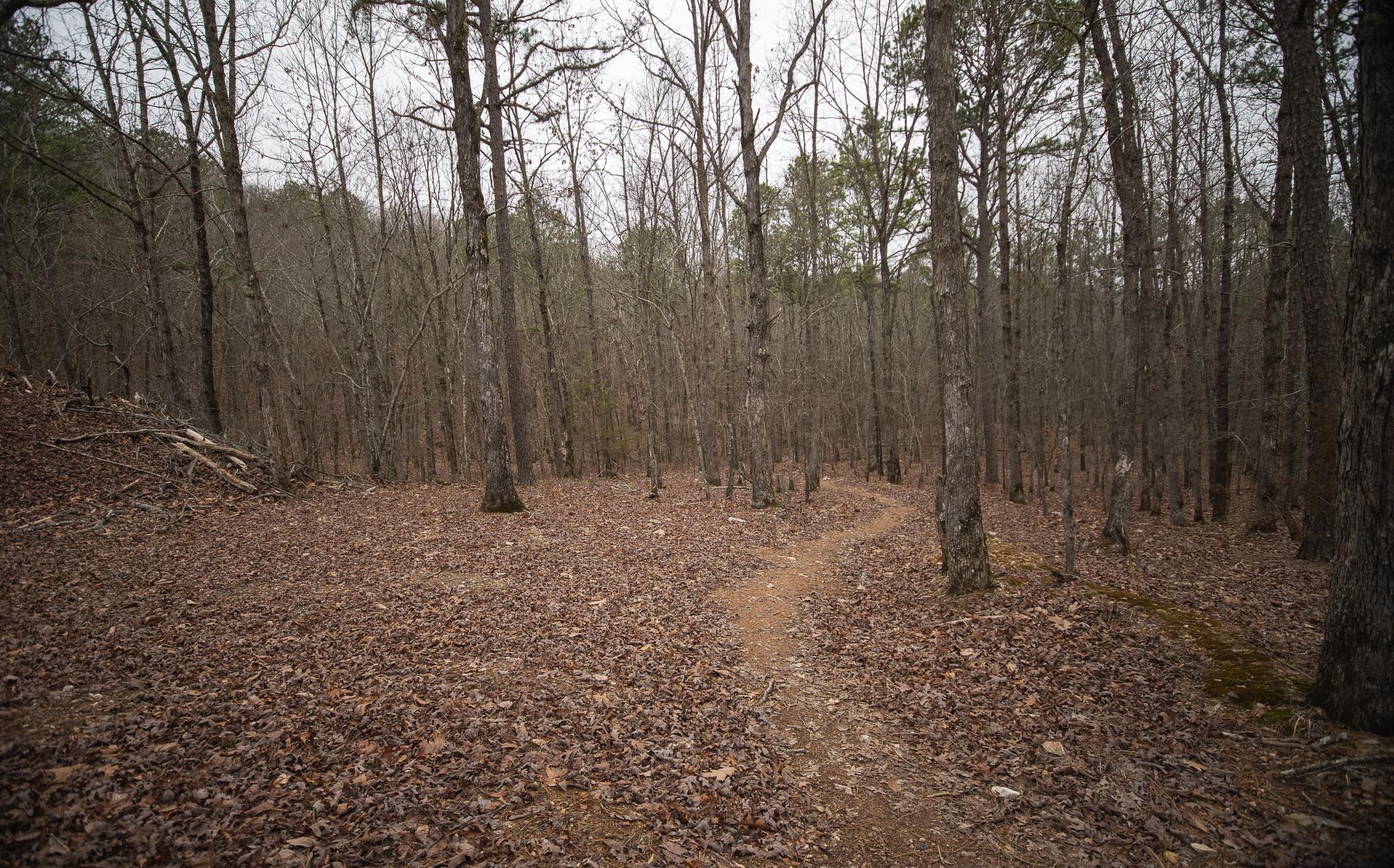 Board Camp - Residential