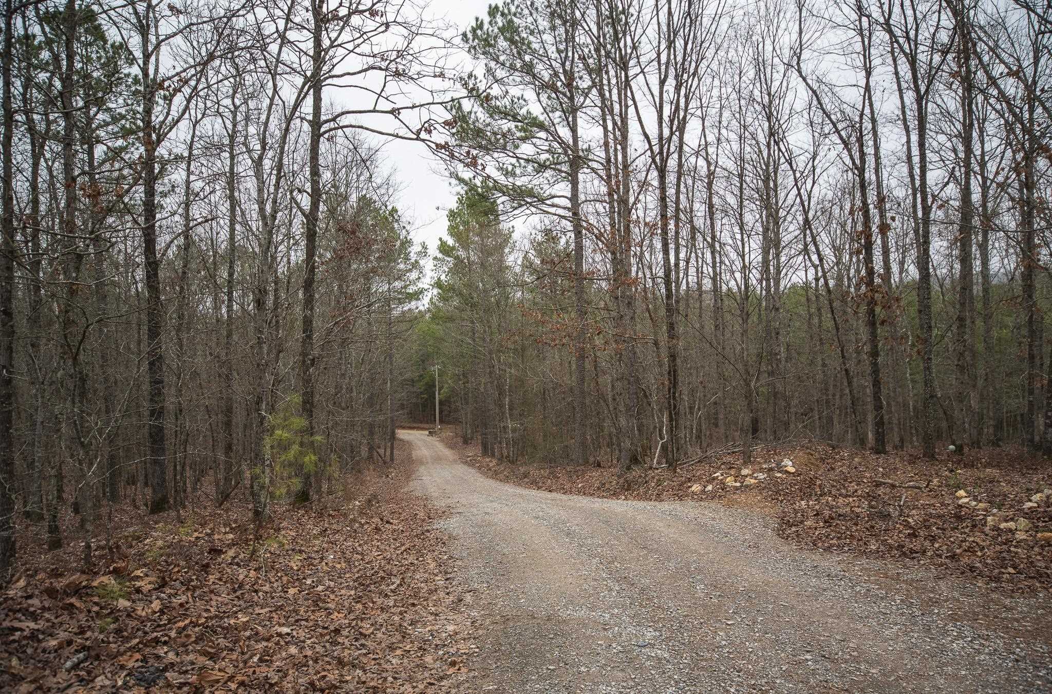 Board Camp - Residential