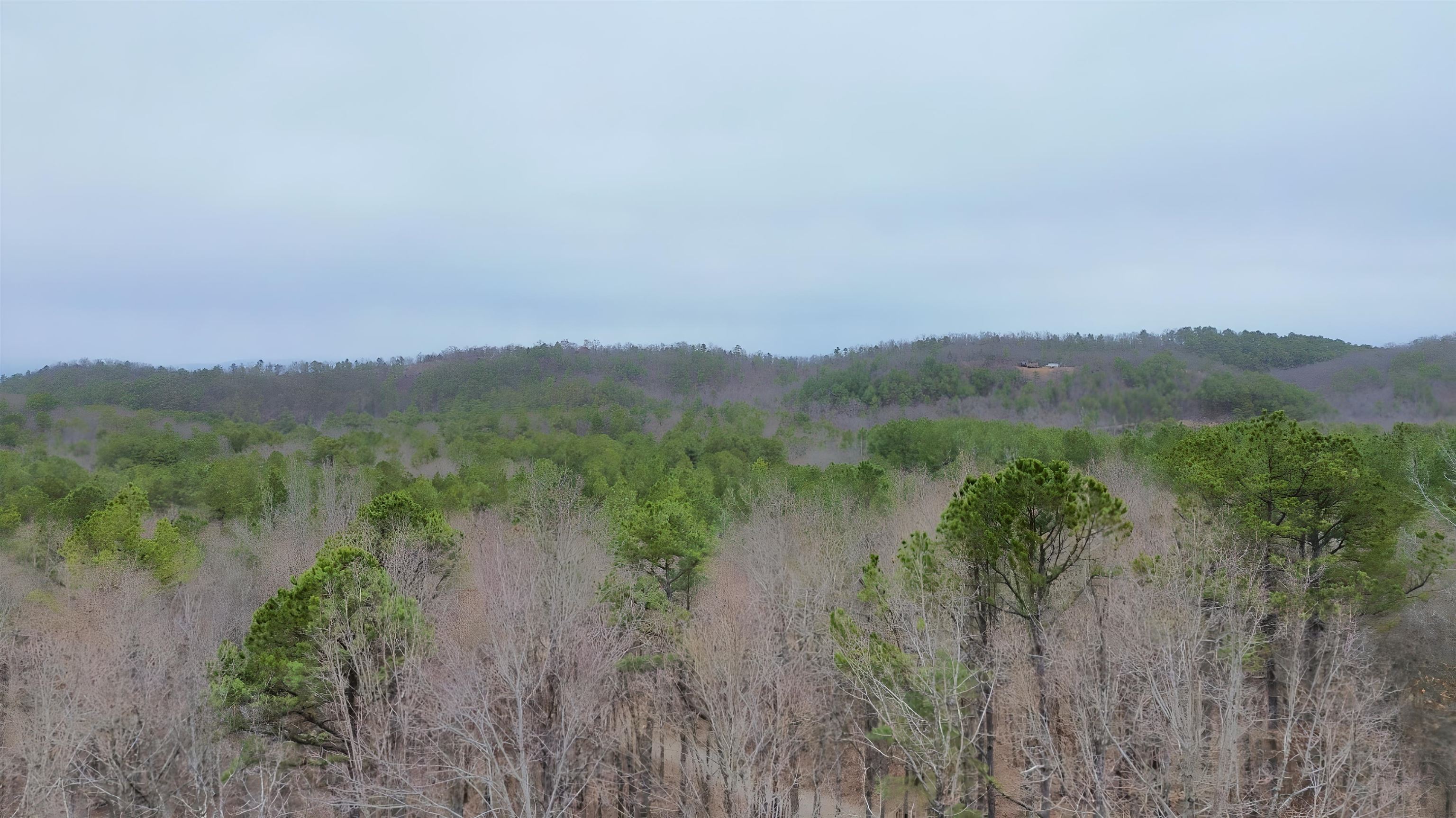 Board Camp - Residential