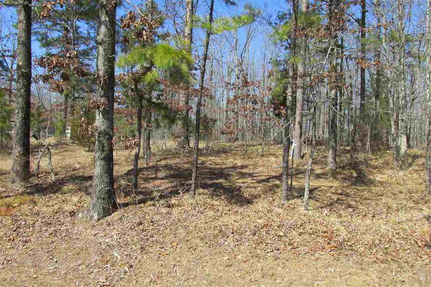 Nice unrestricted lot. Mineral rights do not convey. Taxes TBD