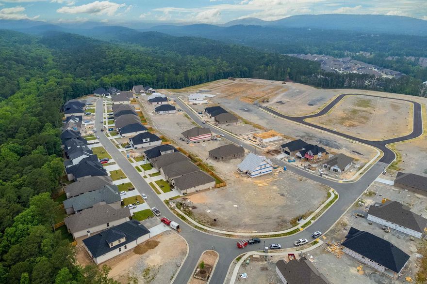 Final phase of the first neighborhood in the new subdivision of Fletcher Valley located off Kanis Road across from Chenal Downs.  Convenient to retail and dining, recreation, schools and more.  Call for additional information.