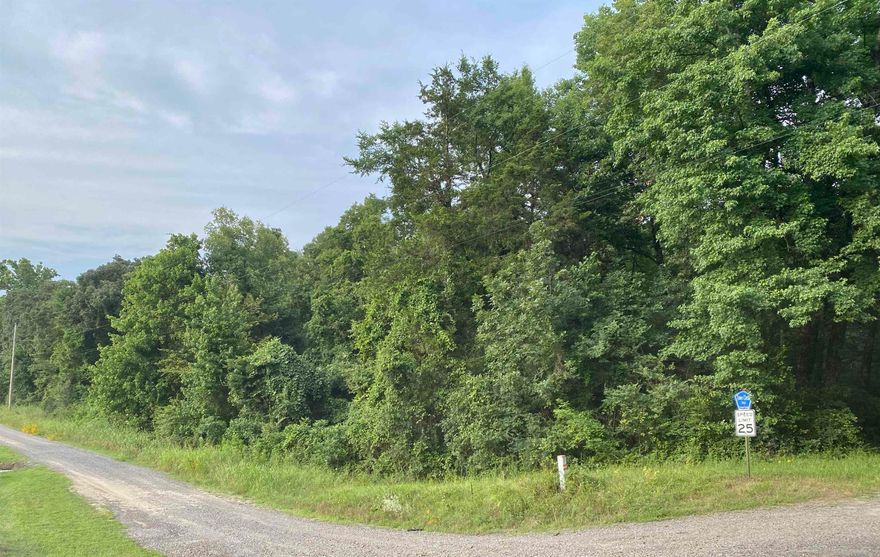 40+/- acres nestled in the country on Mallet Town Road at Springfield! The property is split by Mallet Town Road with approx. 10 acres on the right side and approx. 30 acres on the left side.  Majority of the property is wooded. There is a small pond on the south side and there's also 3 wet weather creeks that run through this property. Seller had a mineral search done and has documentation of owning all mineral right to this property and agrees to convey all minerals to new buyer.