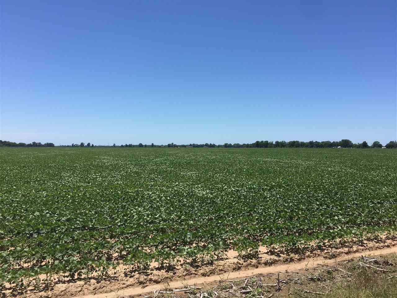 Sold. 455 acre irrigated farm.