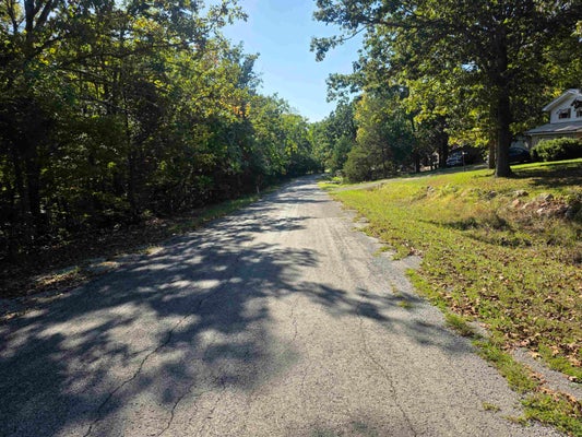 1007 WISCONSIN AVE, HORSESHOE BEND, AR 72512 - Image 3cefe8d05a3e312fec4a6d67ee98681d/1328304132