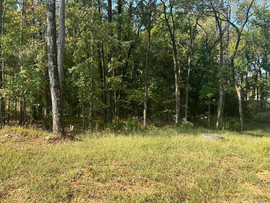 Great wooded lot in the subdivision of Diamondhead. Extensive amenities that include an Olympic size pool, basketball courts, tennis courts, children's playground, clubhouse with library/workout room/restaurant and Security. Lakeside schools. Close to Lake Catherine State Park.